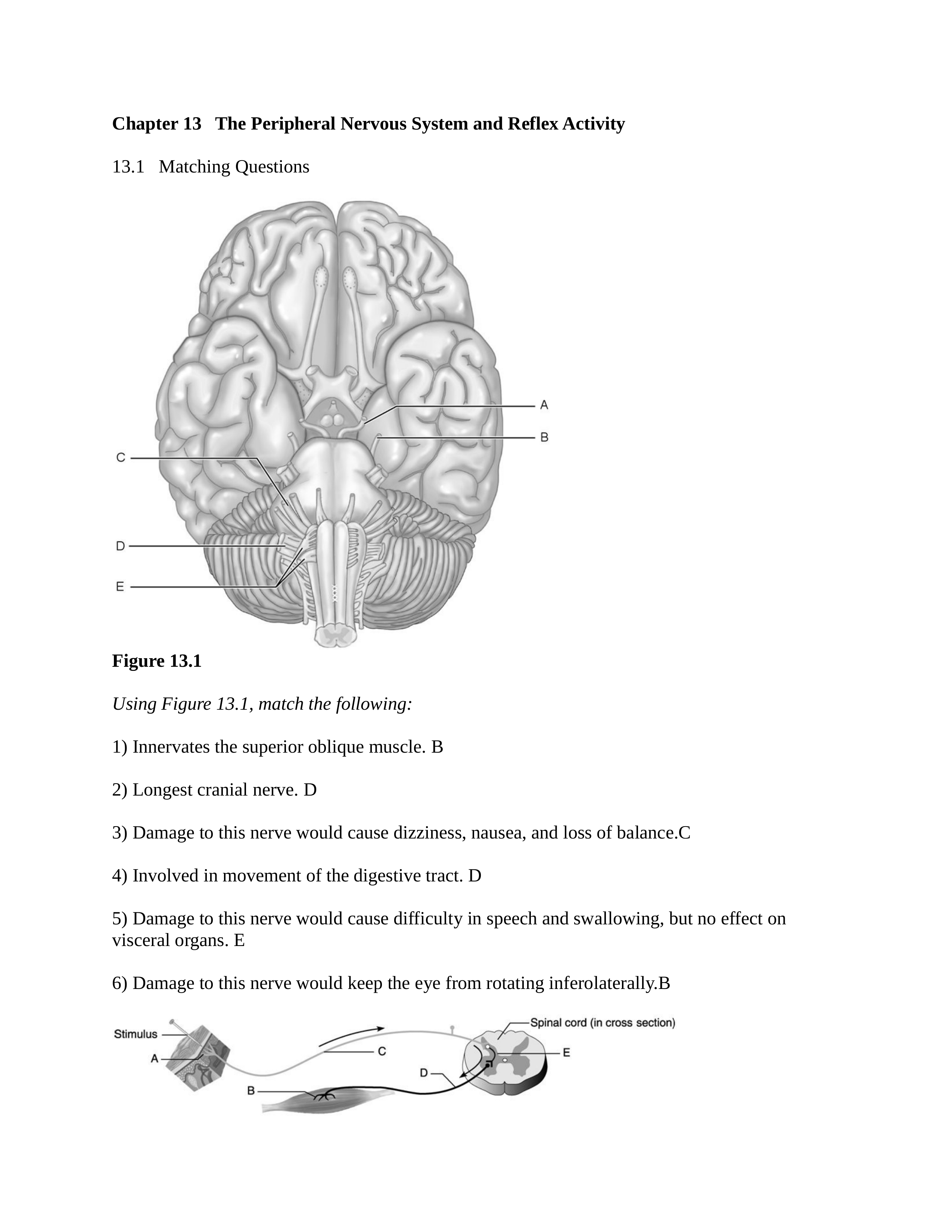 Bio-226 chapter 13_dh6ecmfviwh_page1