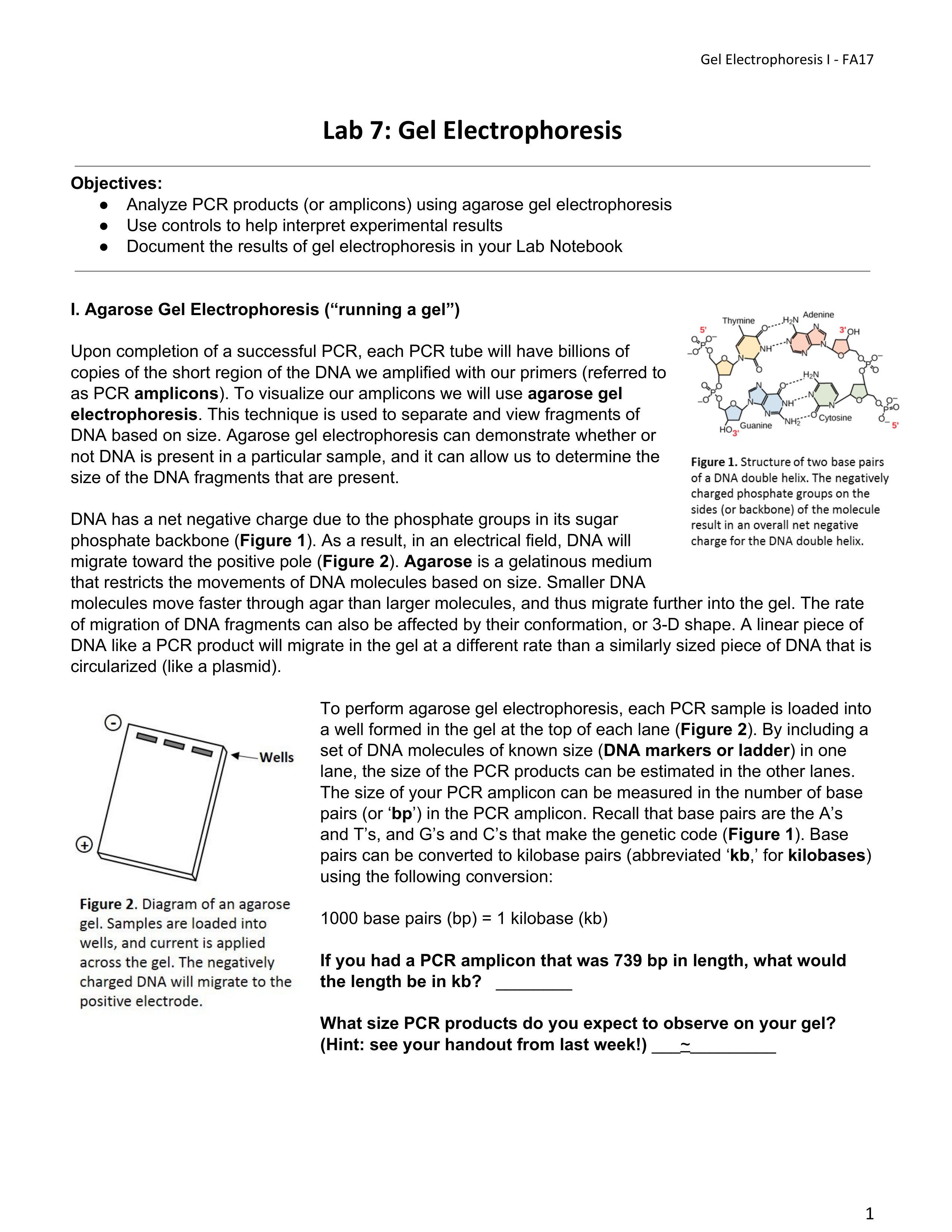 PRINT & READ ME- Lab 7 Gel Electrophoresis FA17 BIO150.pdf_dhdhc3f010k_page1