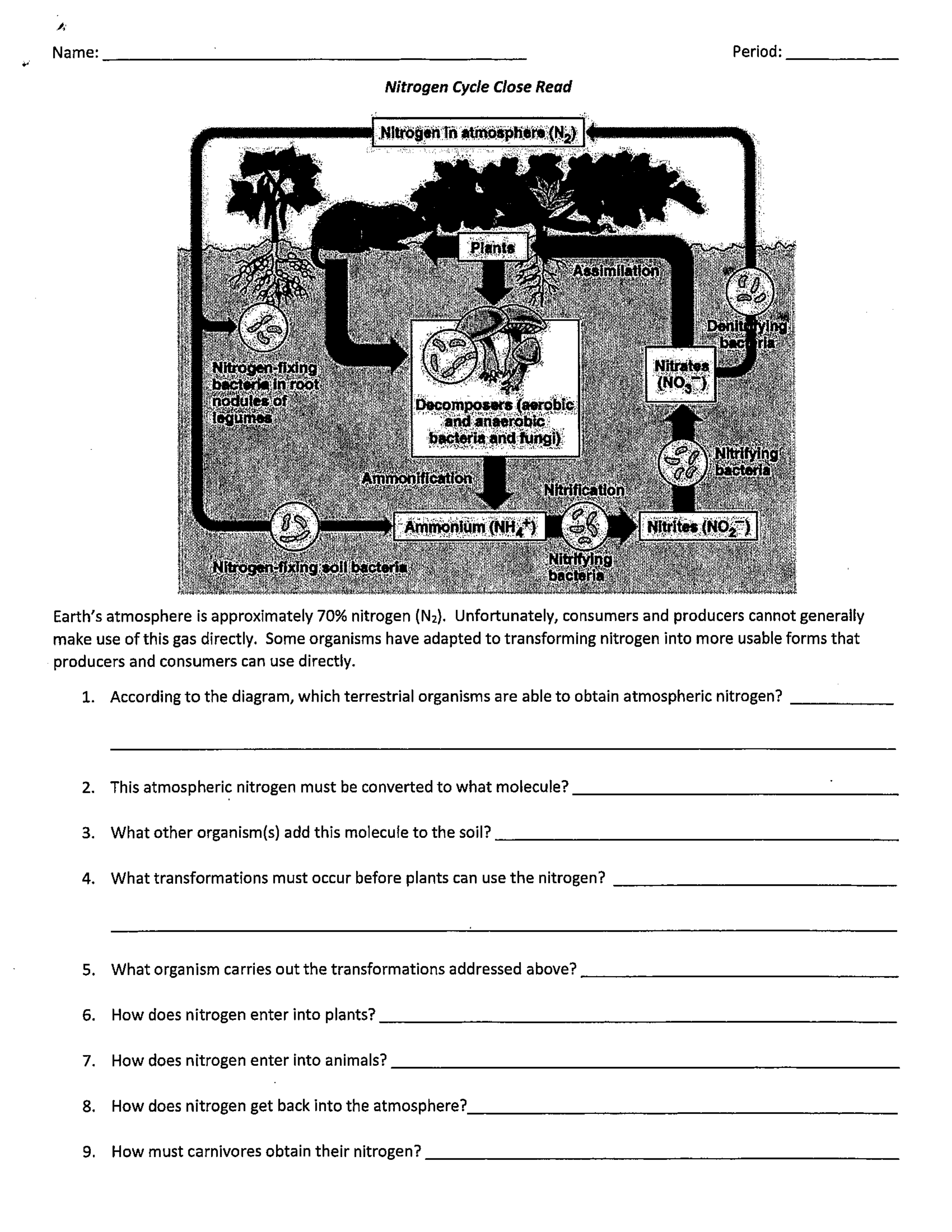 Kami Export - nathan akinola - Nitrogen Cycle Close read.pdf_dheolhiyx61_page1