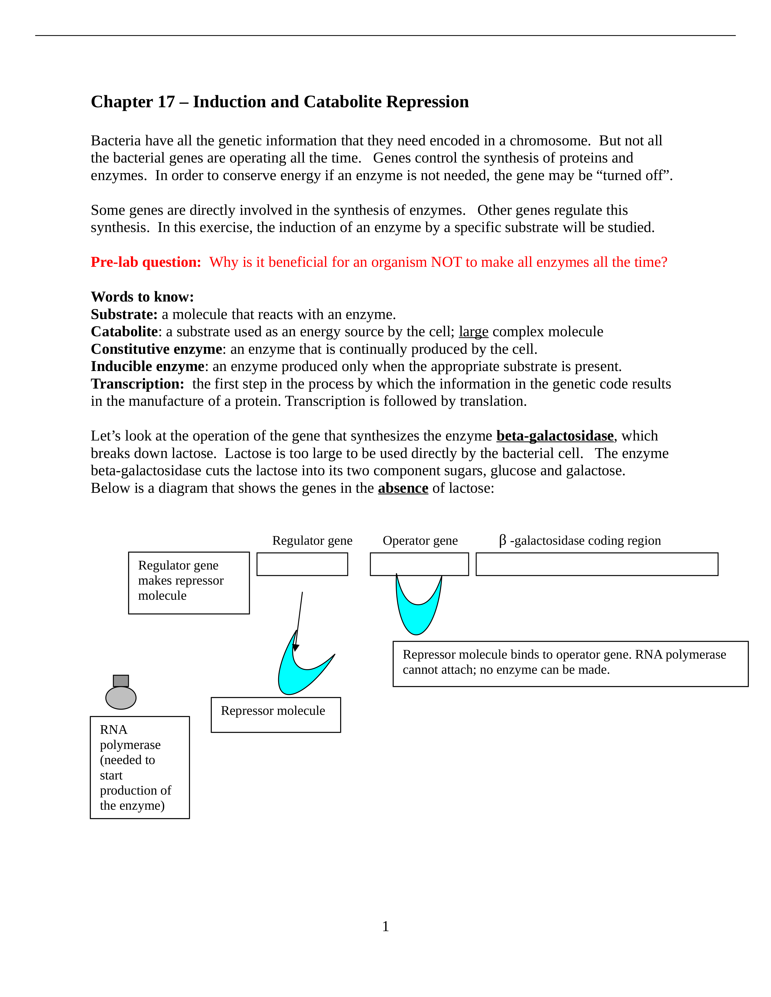 Chapter 17 Induction and Catabolite Repression.doc_dhkcebij7jx_page1