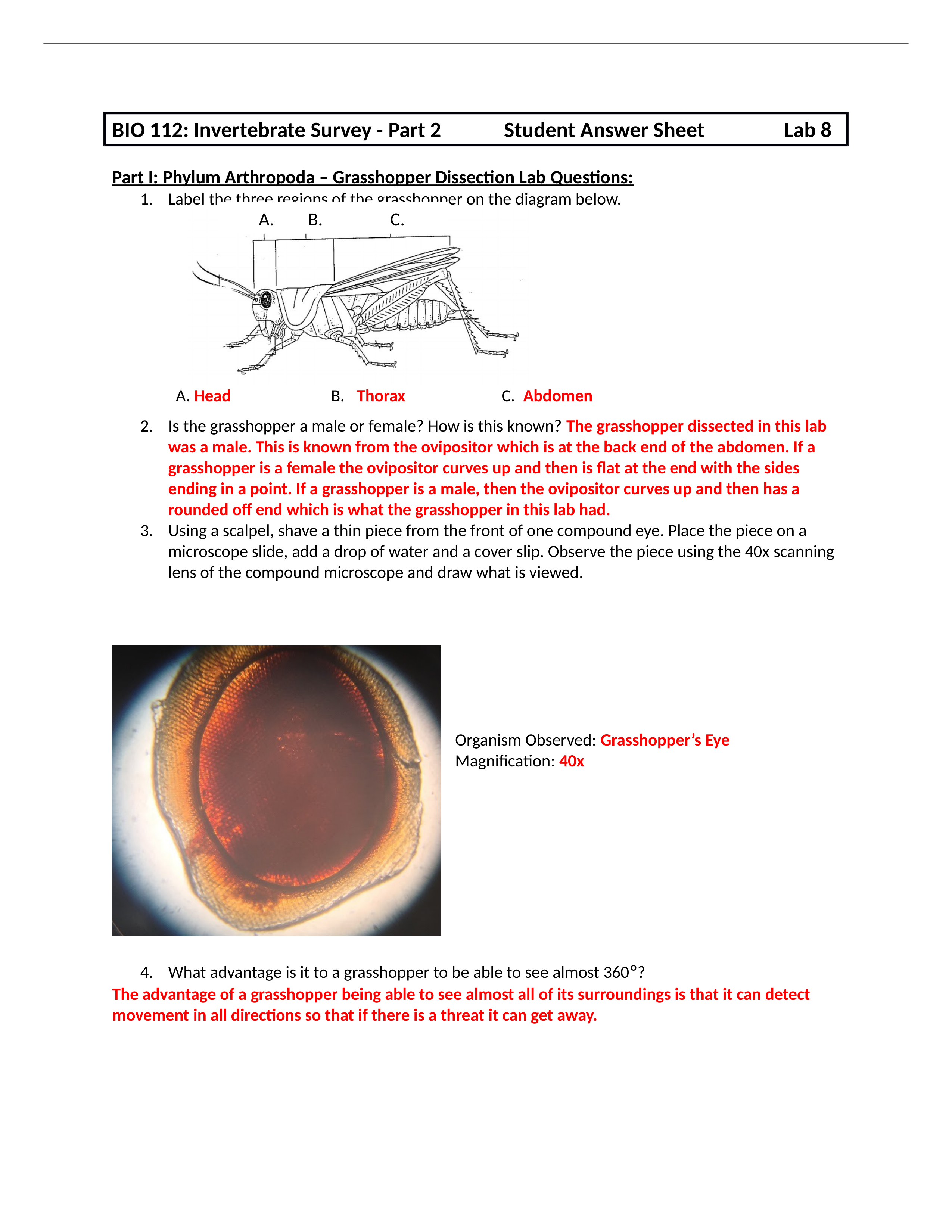 InvertPart2Lab 8 StudAnswrSht.docx_dhlw6o0f8nx_page1