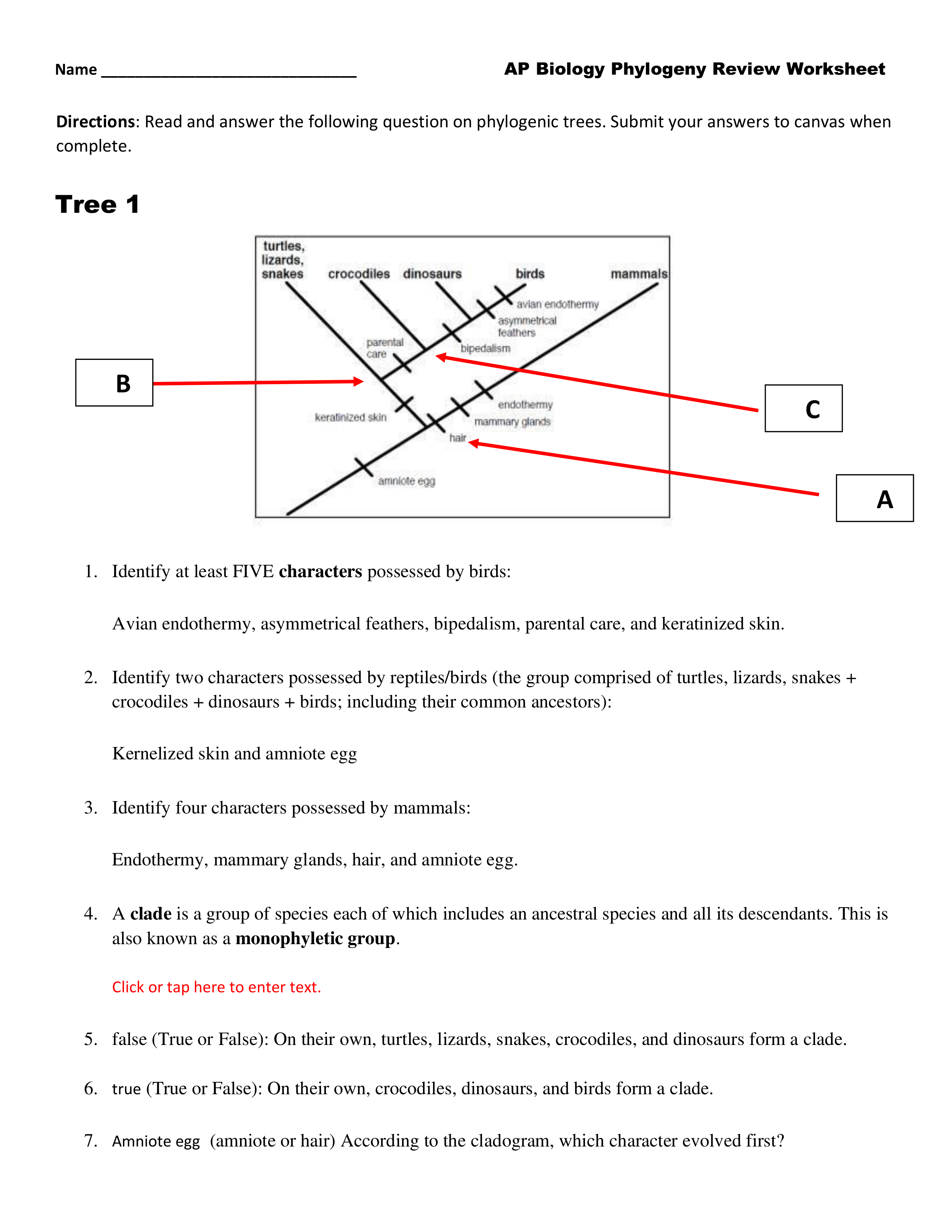 Phylogeny Review Worksheet (Canvas)-d4e022-b34f40.pdf_dhqytadyjks_page1