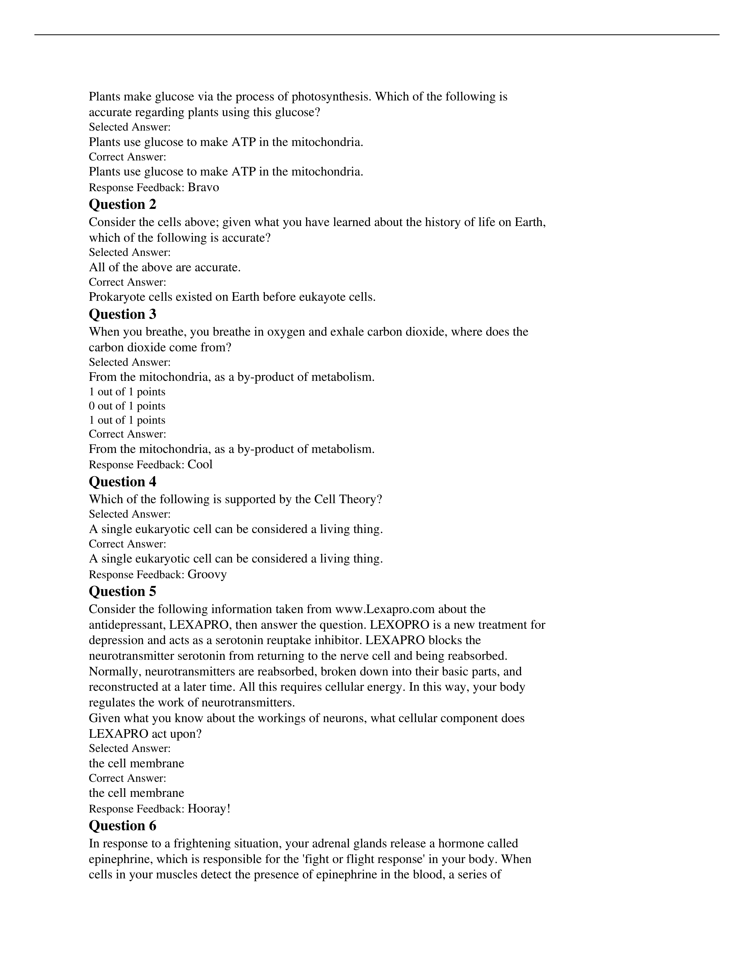 ATP in plants homework_dhry2s7p84v_page1