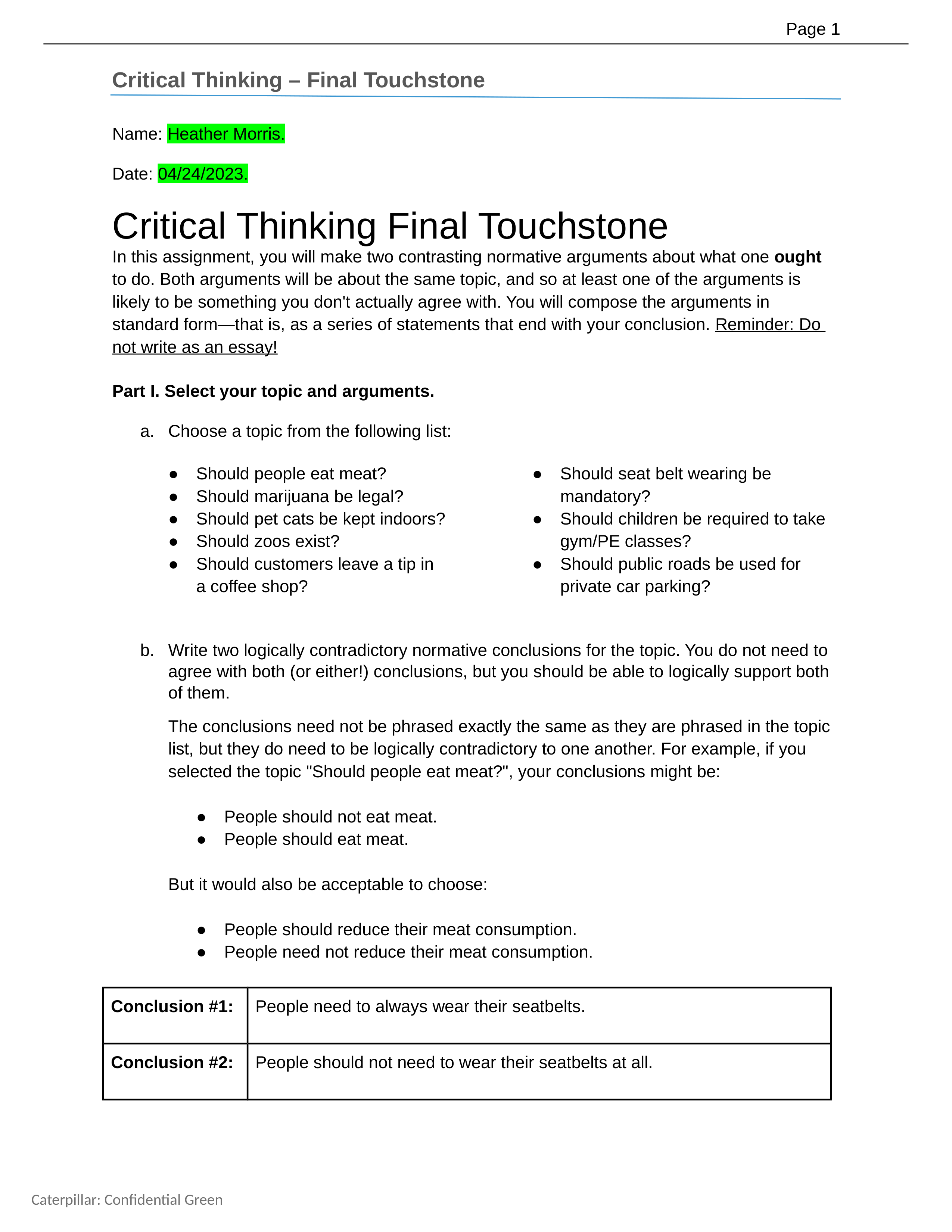 Critical Thinking Touchstone 4 Template.docx_dhsjybubjro_page1