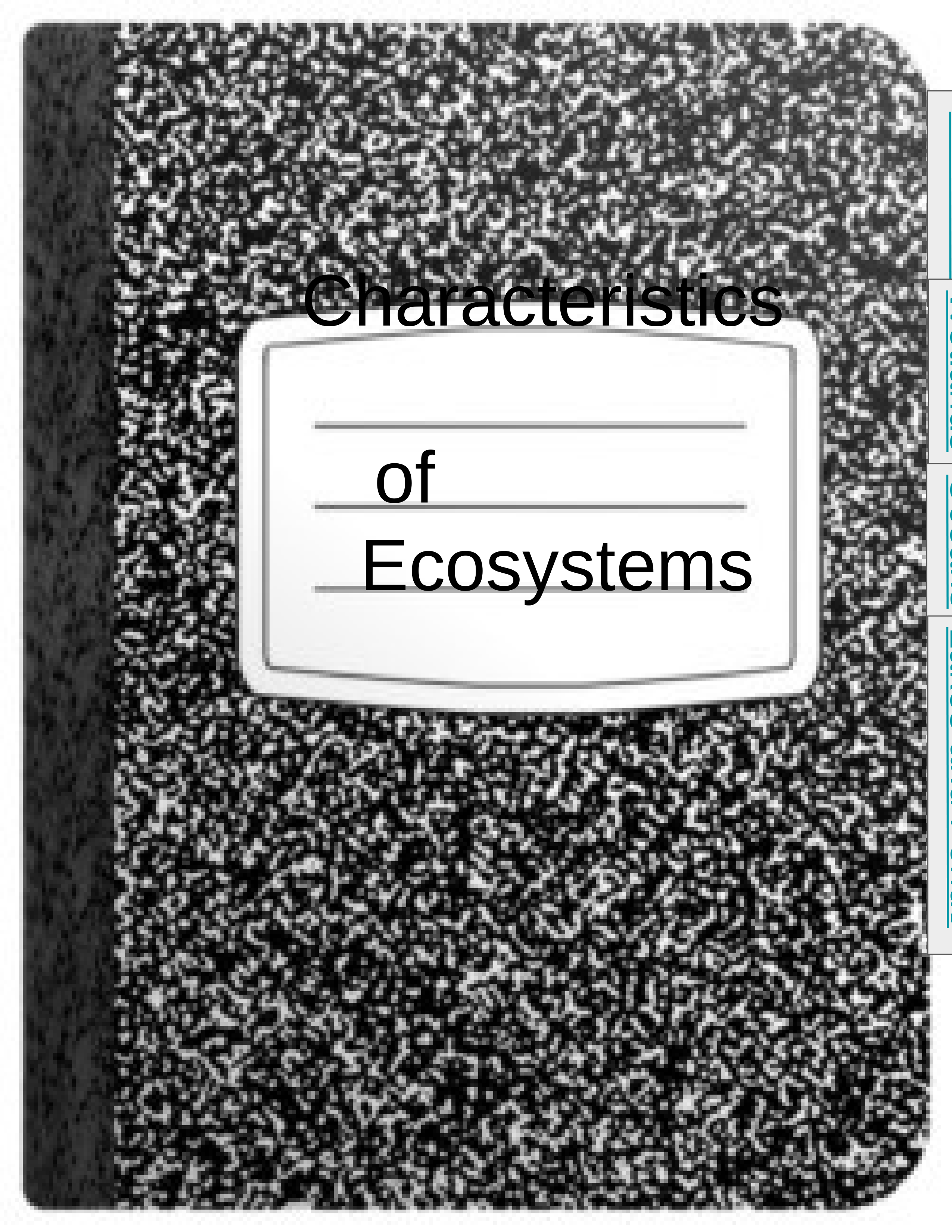 Characteristics of Ecosystems (2).pptx_dhteajkdx3b_page1