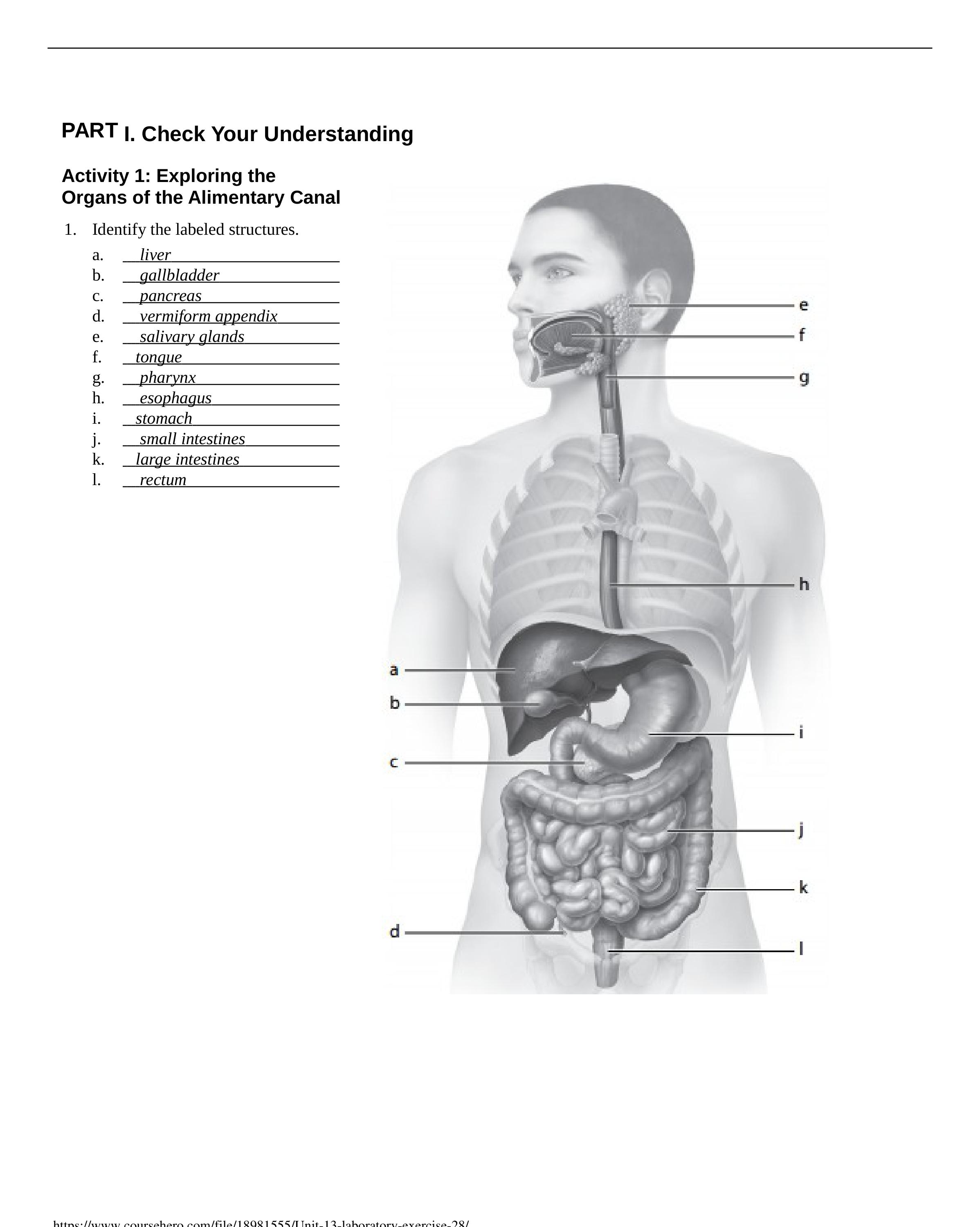 Unit 13 laboratory exercise 28_dhvhkrql8wl_page1