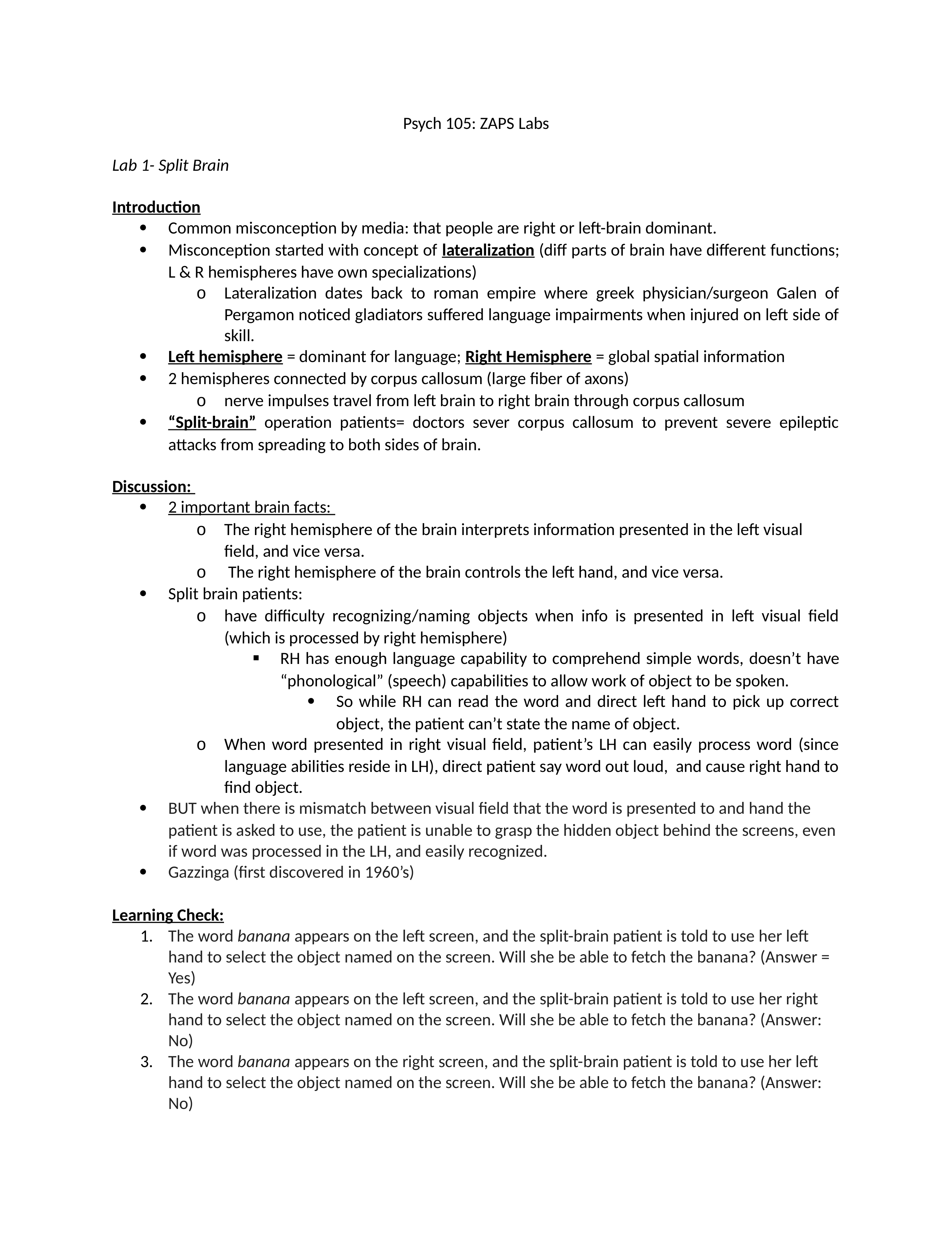 Zaps Lab Summaries.docx_dhy6arurozi_page1