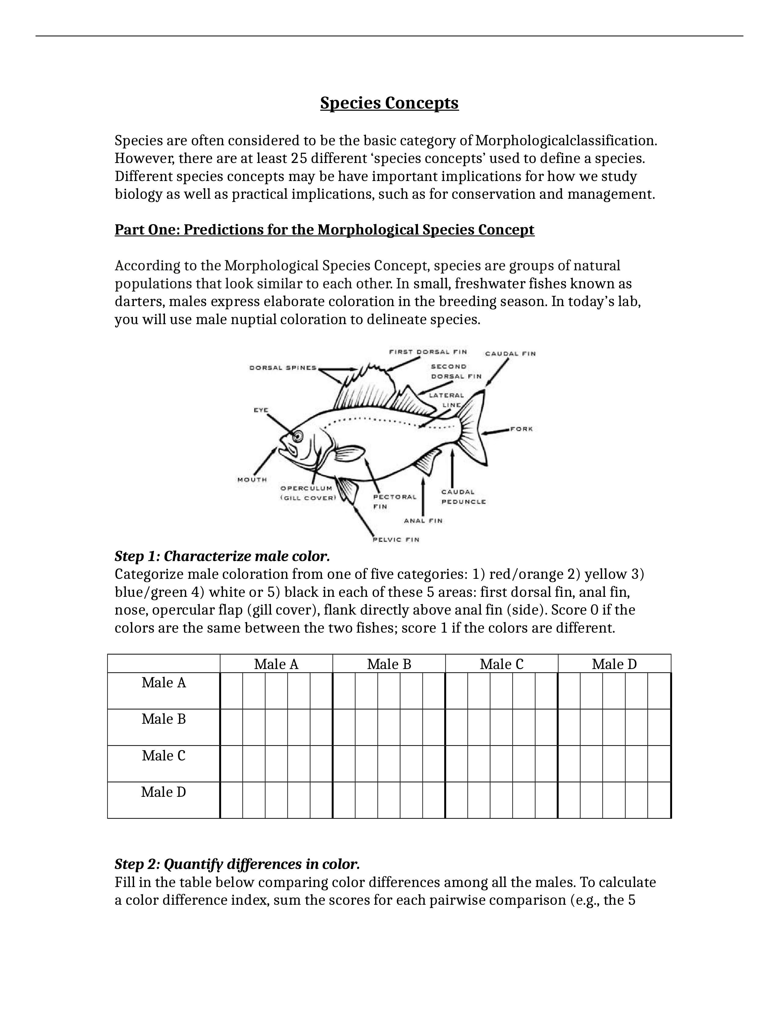 3 - Species Concepts_di60neuhfhx_page1