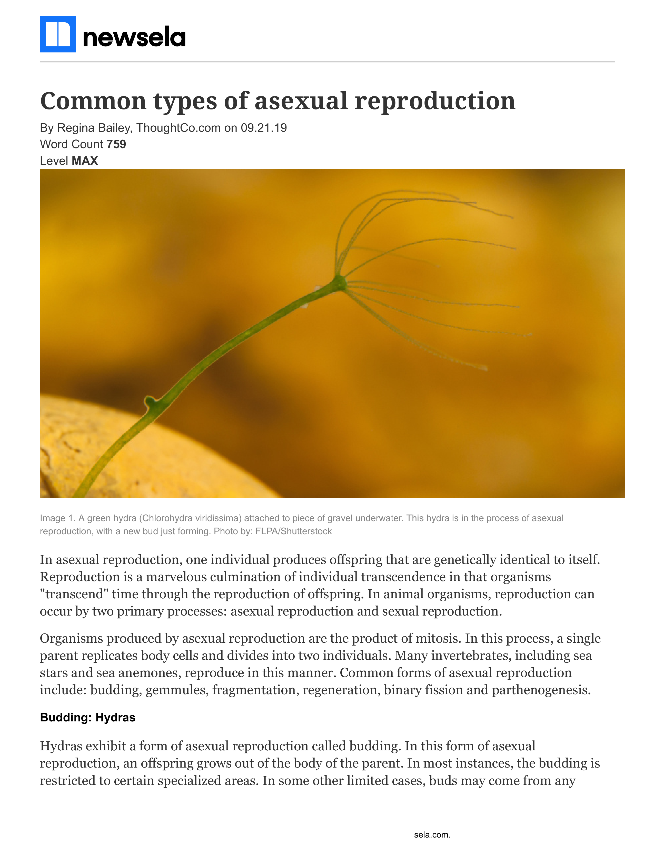 AC_Newsela_types-of-asexual-reproduction-article_and_quiz.pdf_di78qqbz42s_page1