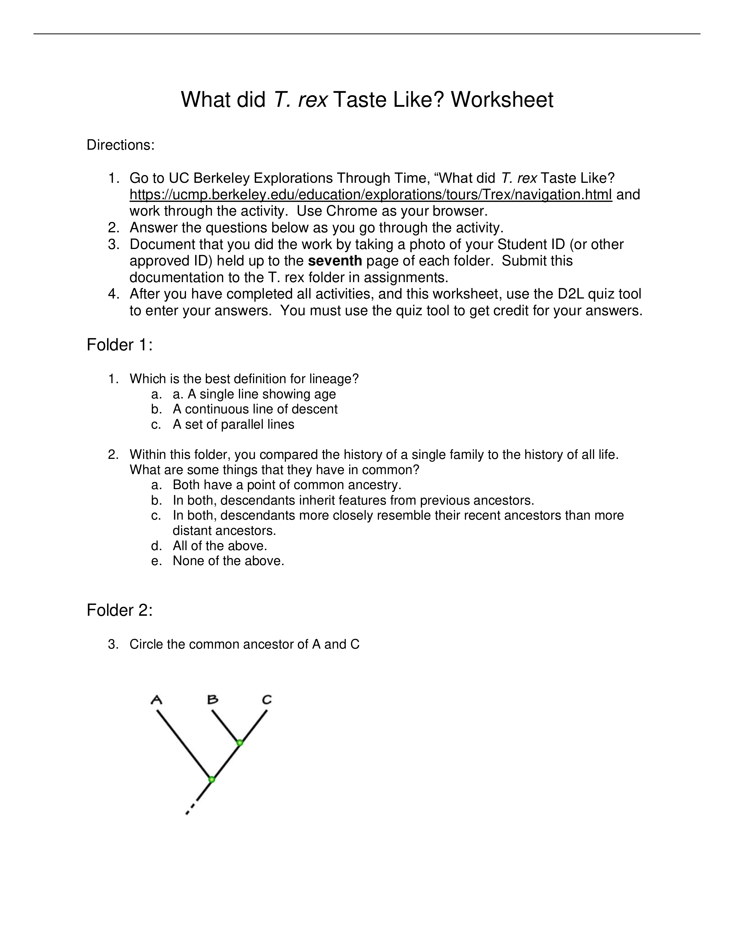 What did T. rex Taste Like Worksheet.pdf_dic9h211tlv_page1