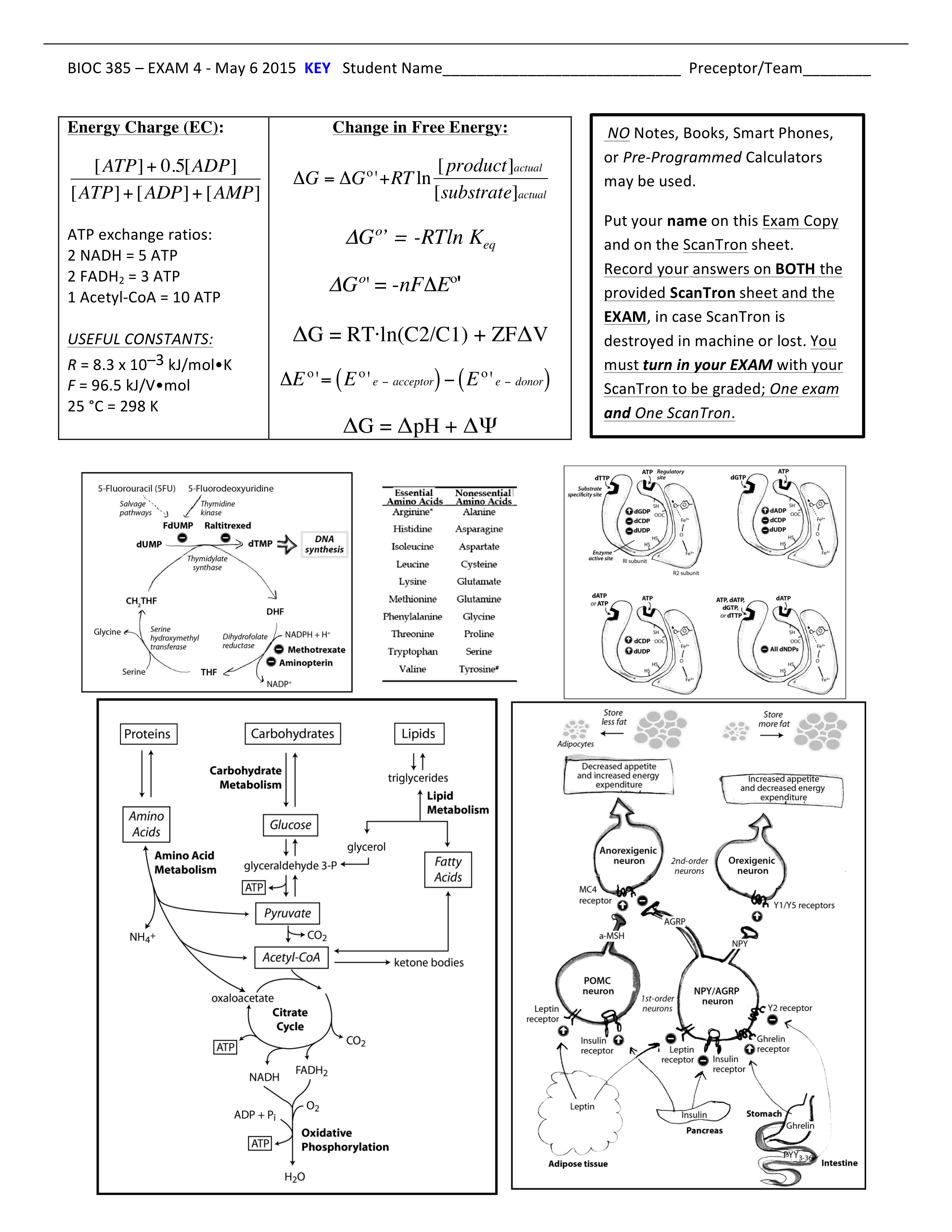 BIOCHEM 385 - Exam 4 KEY_dicx8xt0kny_page1