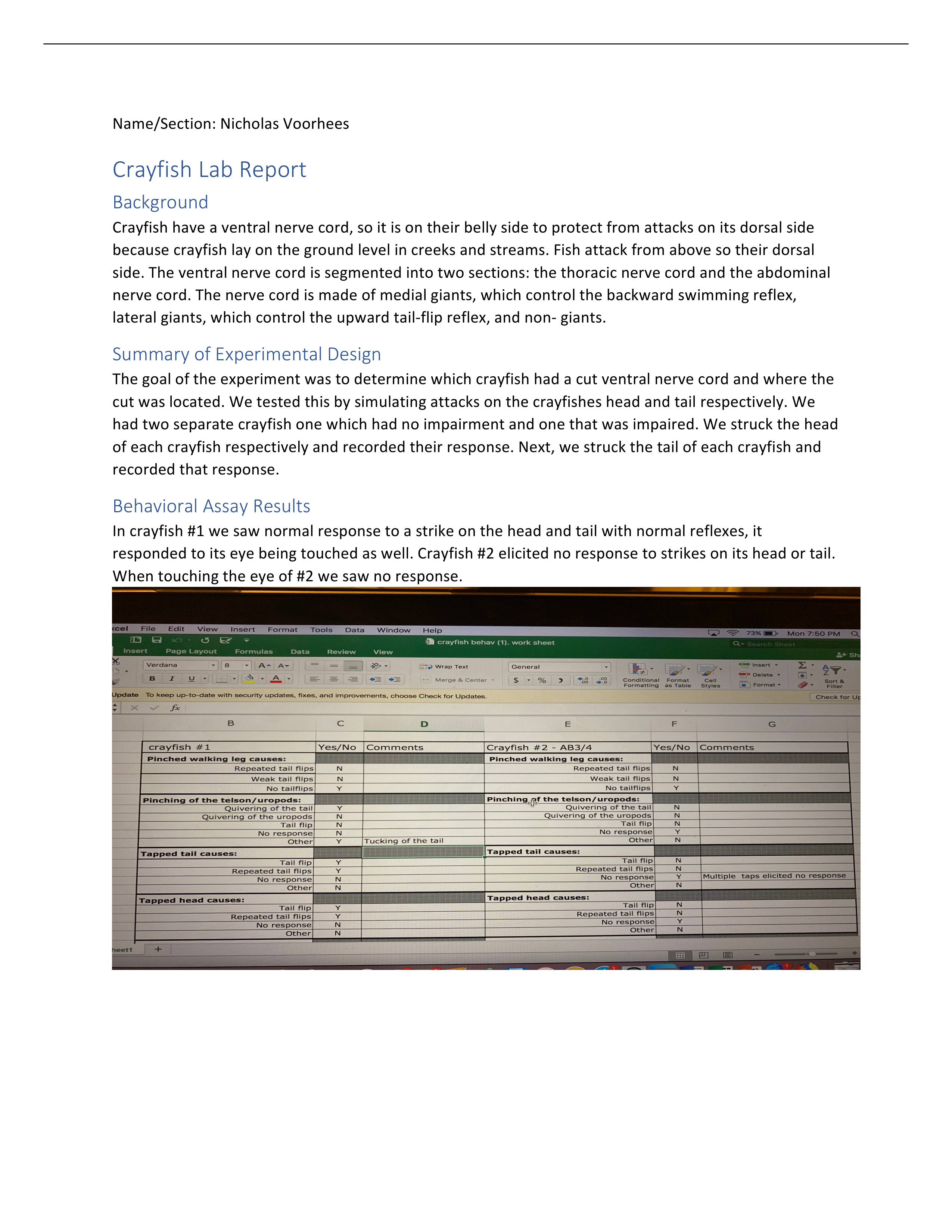 Crayfish Lab report .pdf_diha7wtnh6c_page1