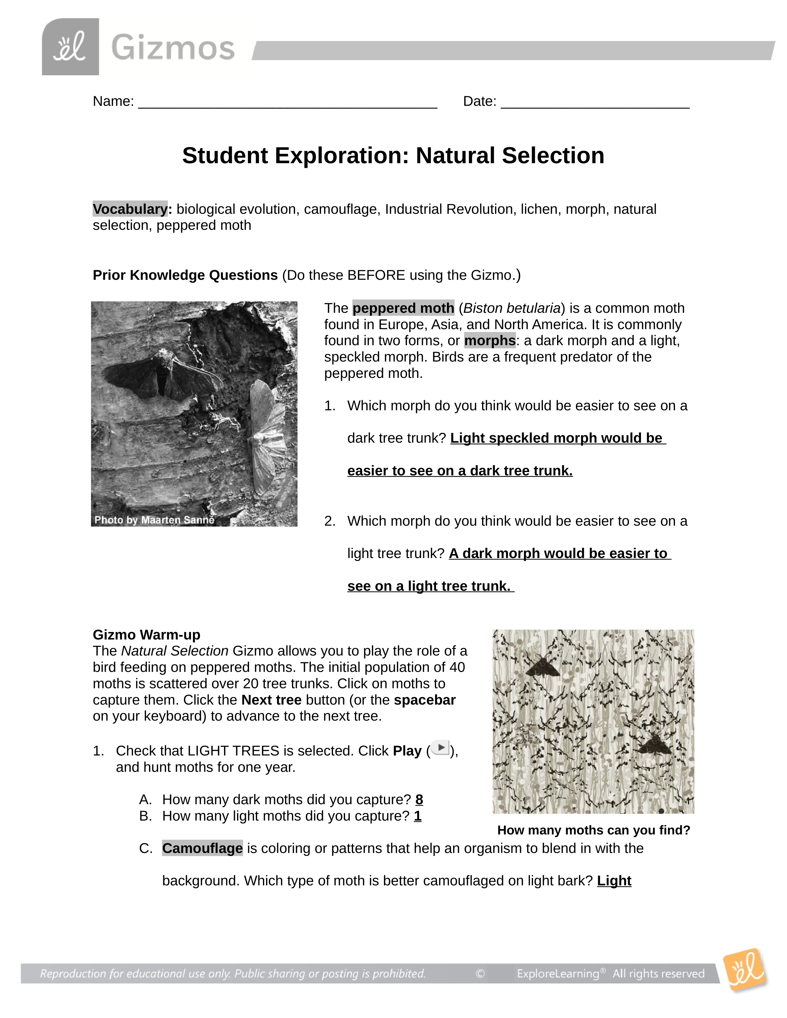 Natural Selection - Gizmo With answers .docx_din4mxqd5kj_page1