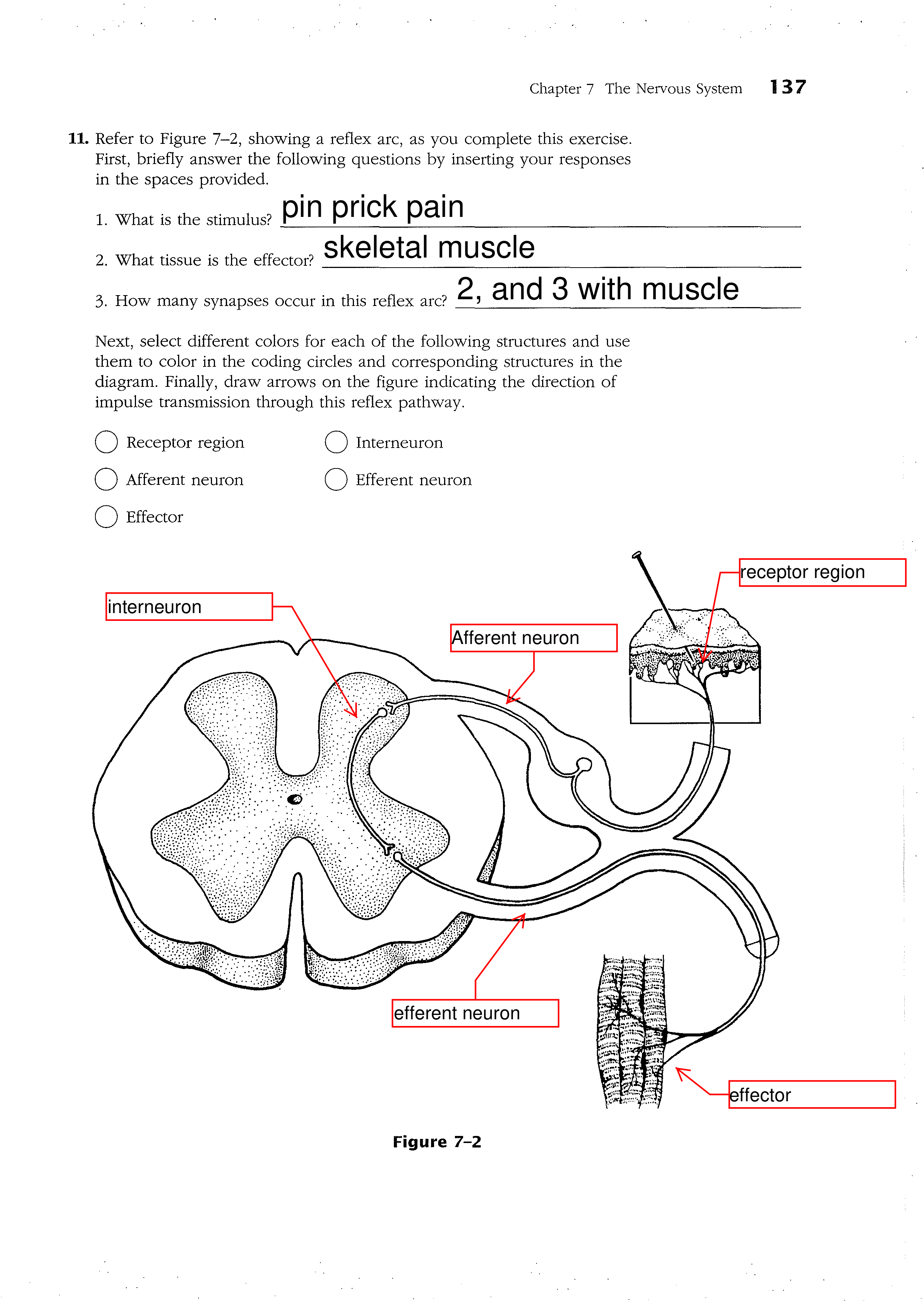 4-4_ The Brain.pdf_dip5mpmet3a_page1