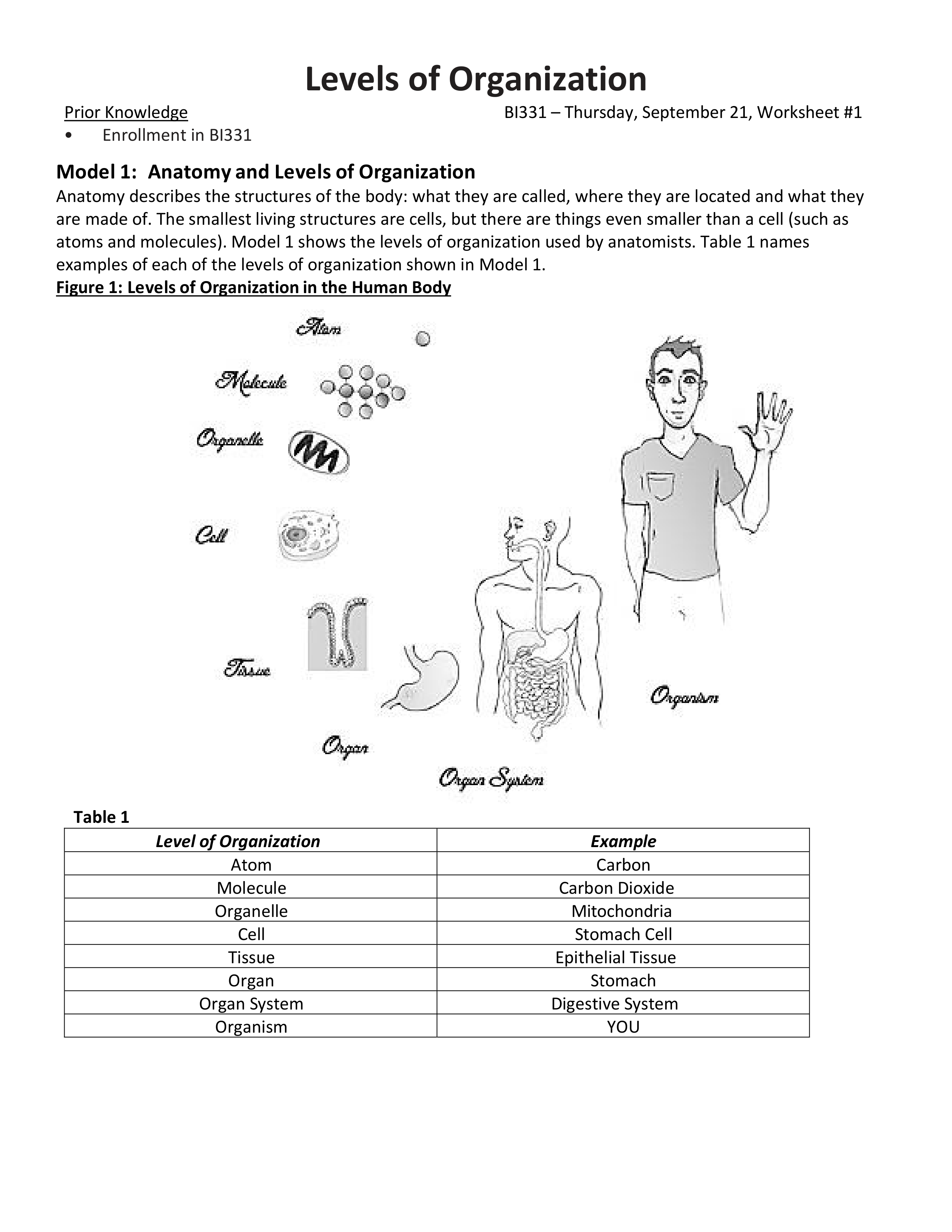 Bi_331_2016_Levelsoforgstudent_final.pdf_diw71upibi2_page1