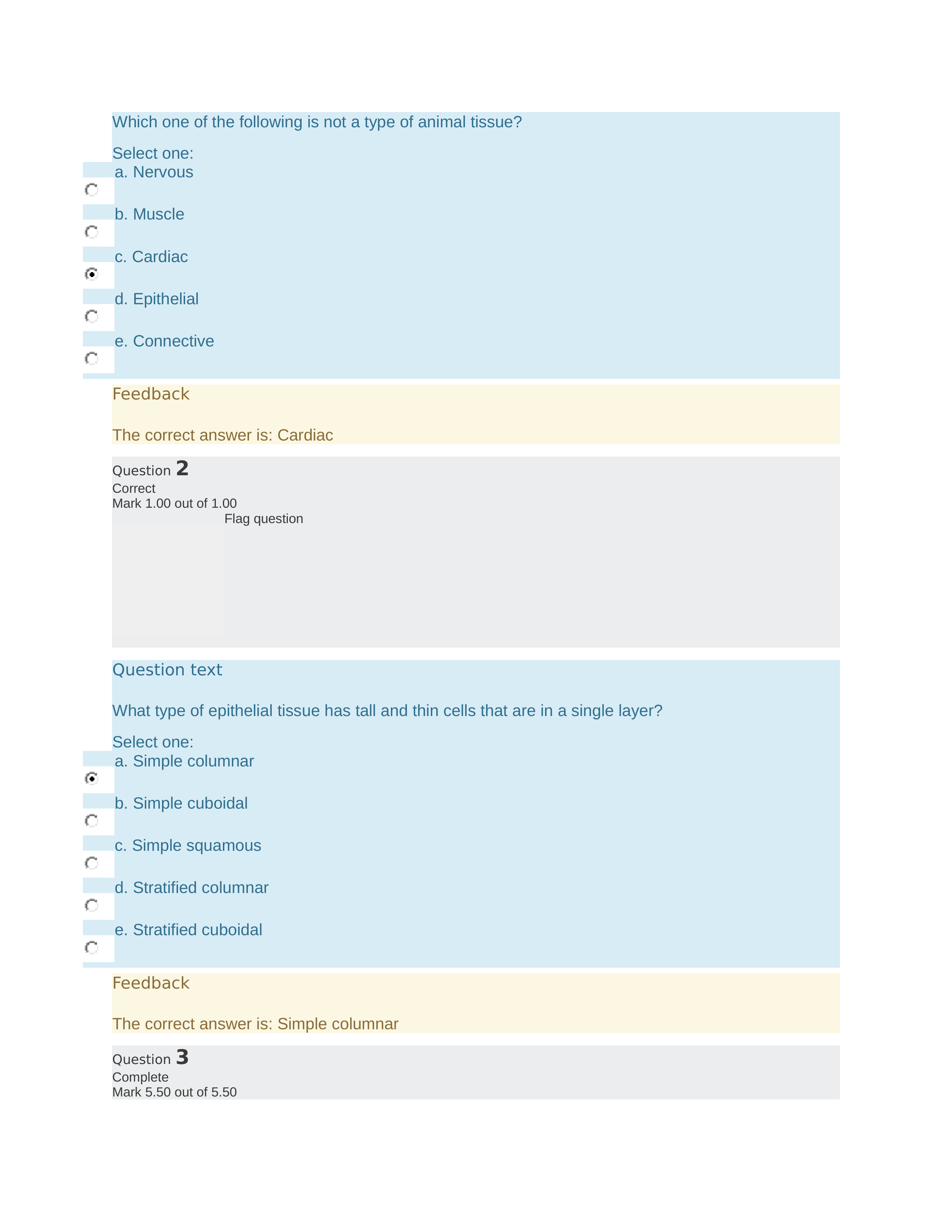 final lab.docx_dj2lmiann38_page1