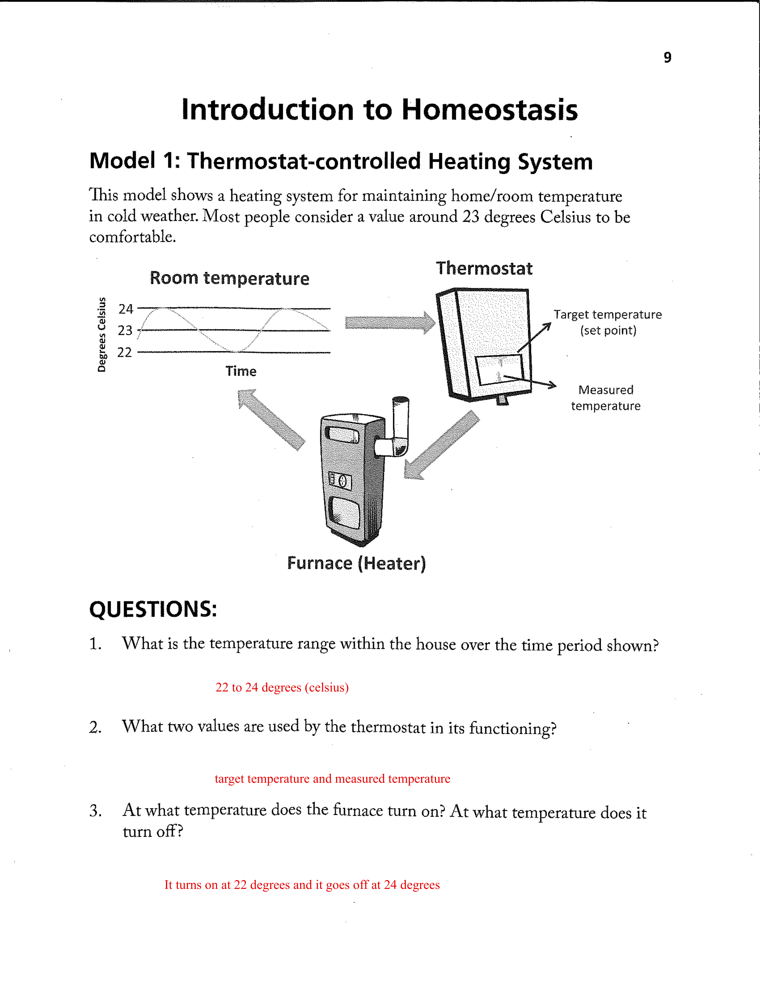 Homeostasis+Pog.pdf_djm4guksap6_page1