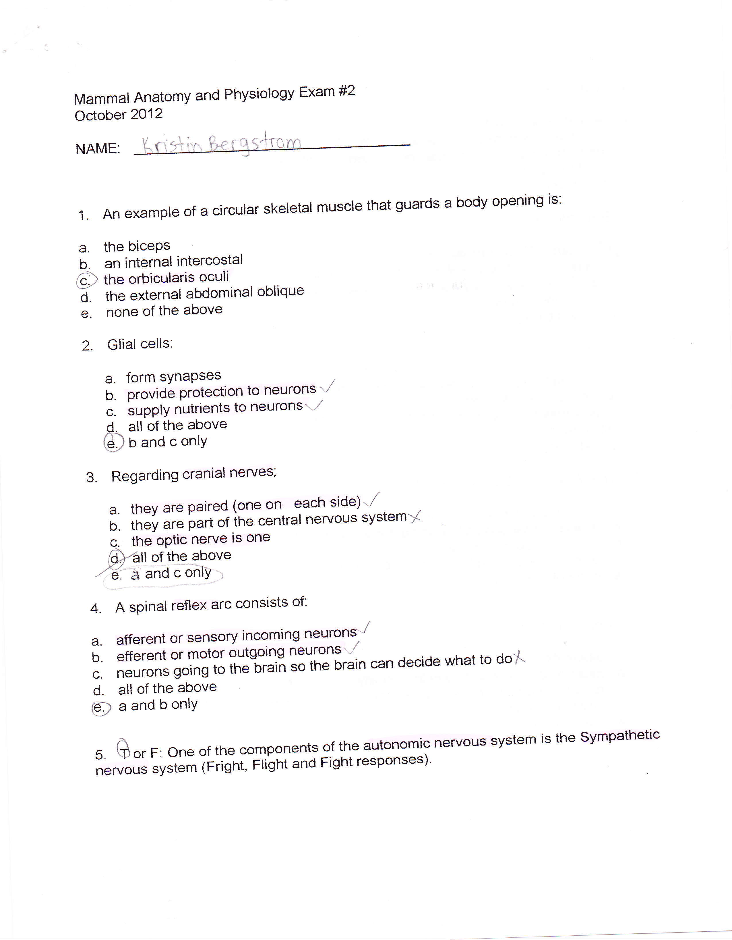 Anatomy and physiology 2012 exam 2_dk1hvc457jw_page1