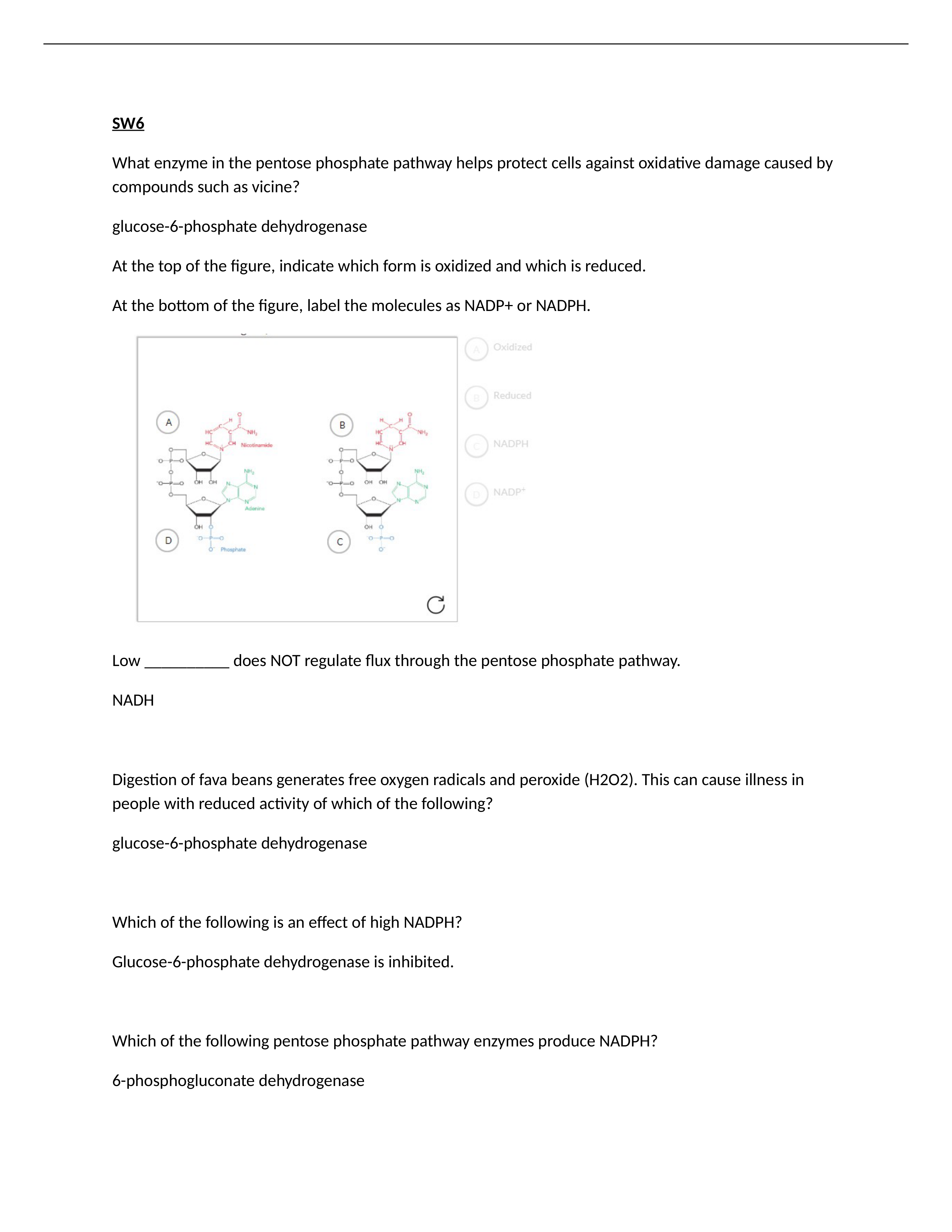 SW6.docx_dk670gvqtb2_page1