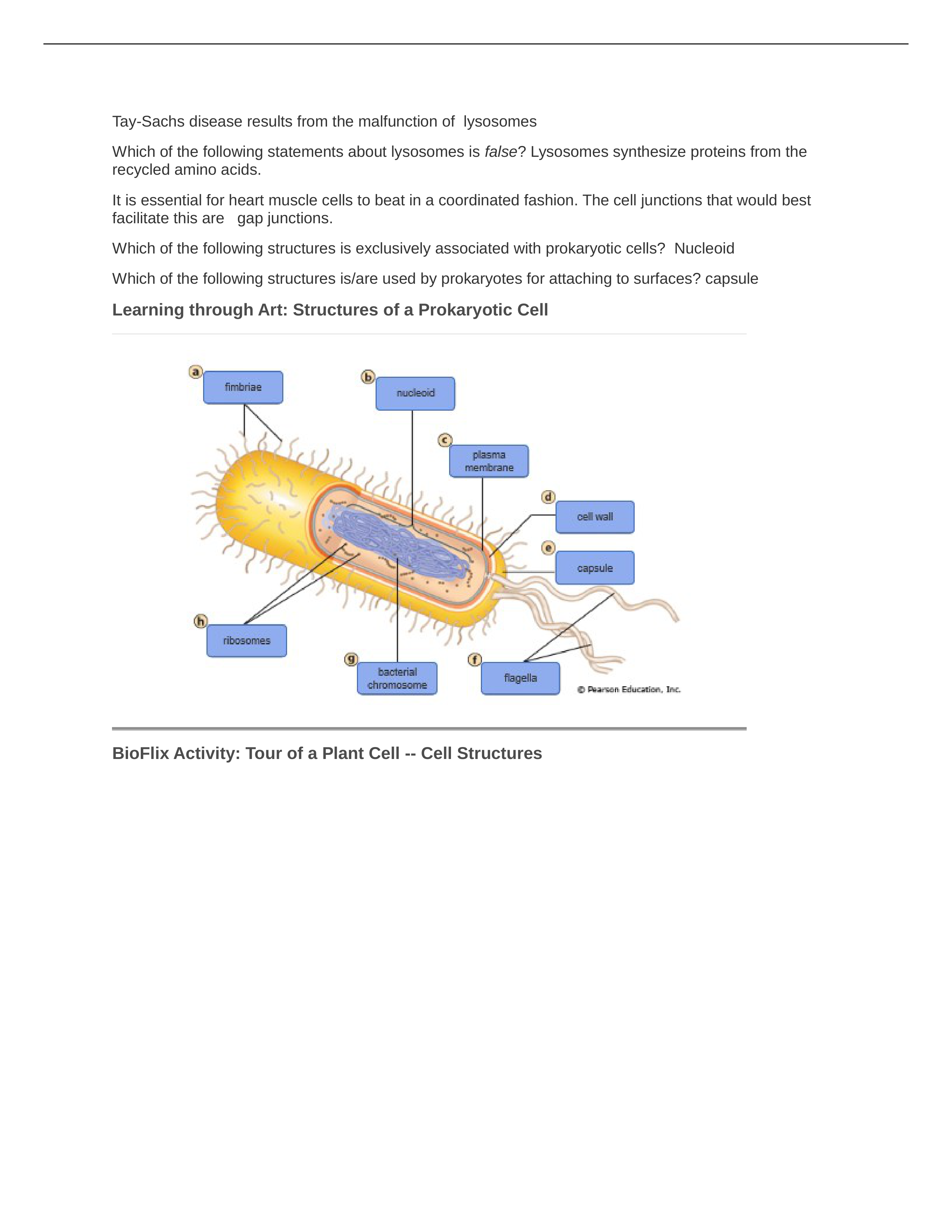 Chapter 4.docx_dk80lijhwr6_page1