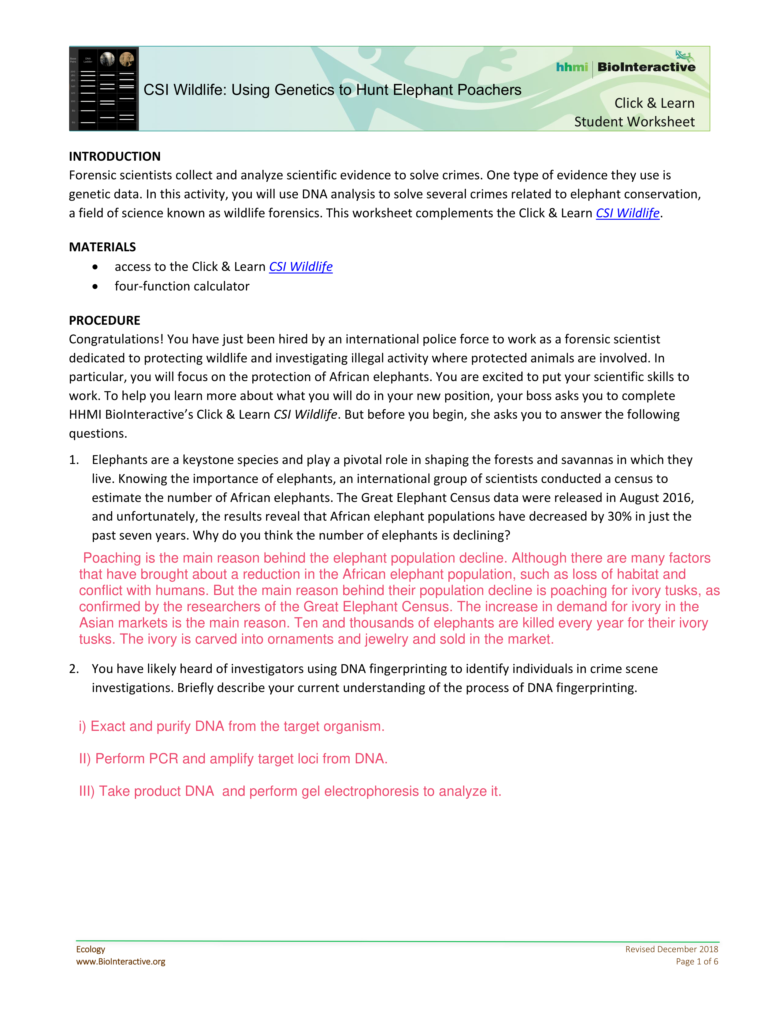 HHMI CSI Wildlife-Student WS2-CL (1) (1) (1).pdf_dkbro2lbmhy_page1