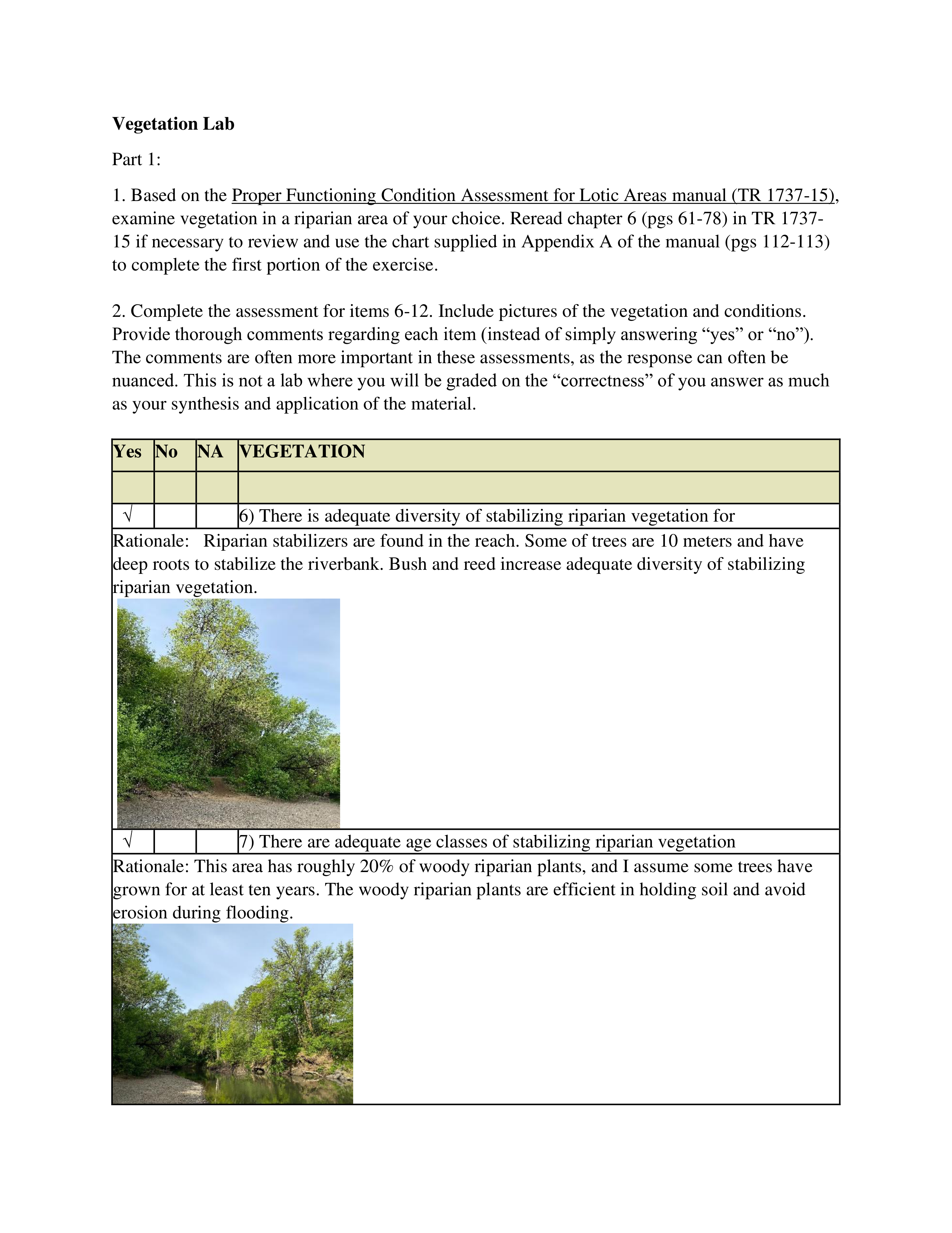 Vegetation Lab.pdf_dkjw1bhknxa_page1