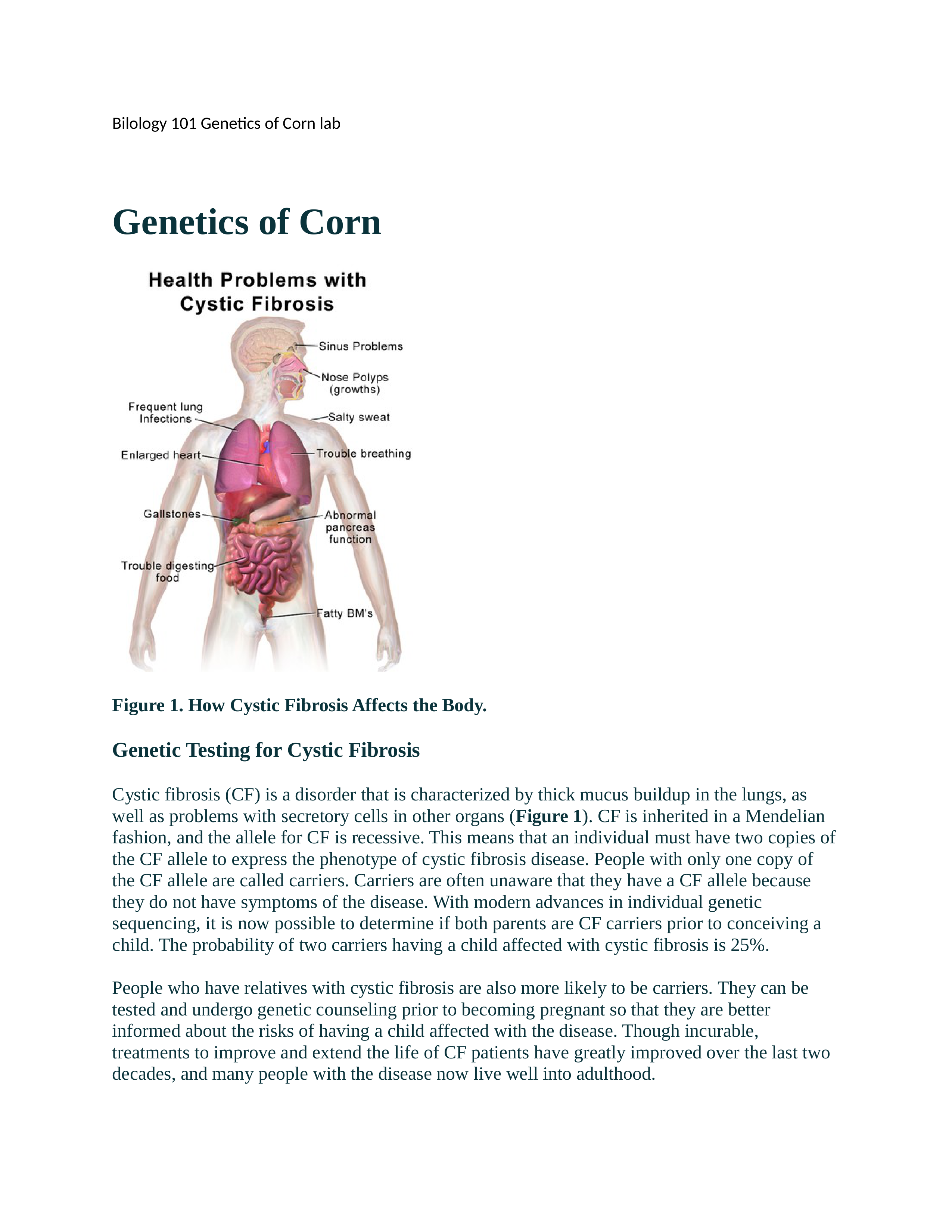 genetics of corn.docx_dkkp5zmji1g_page1