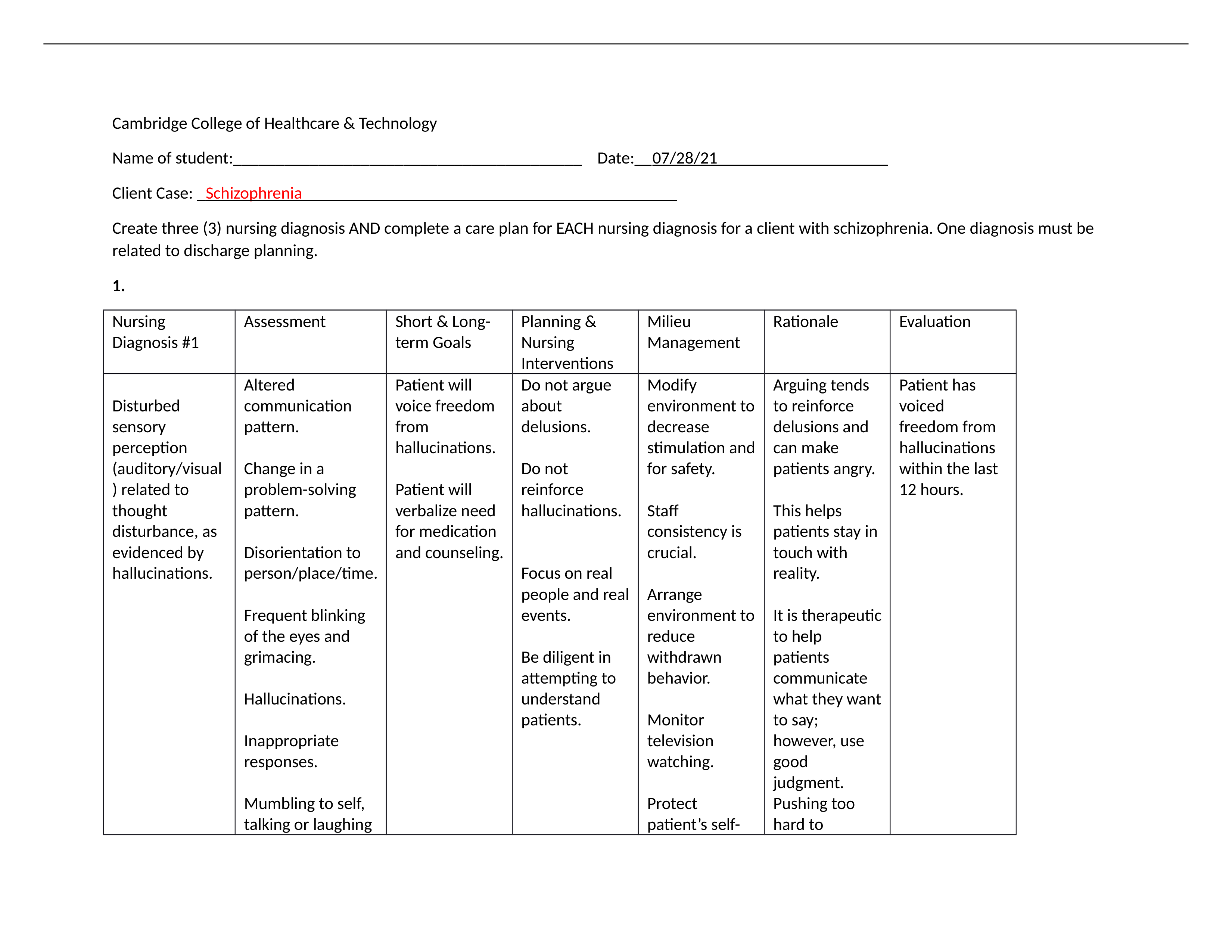 Care Plan-Schizophrenia.docx_dkqhn2m7ixw_page1