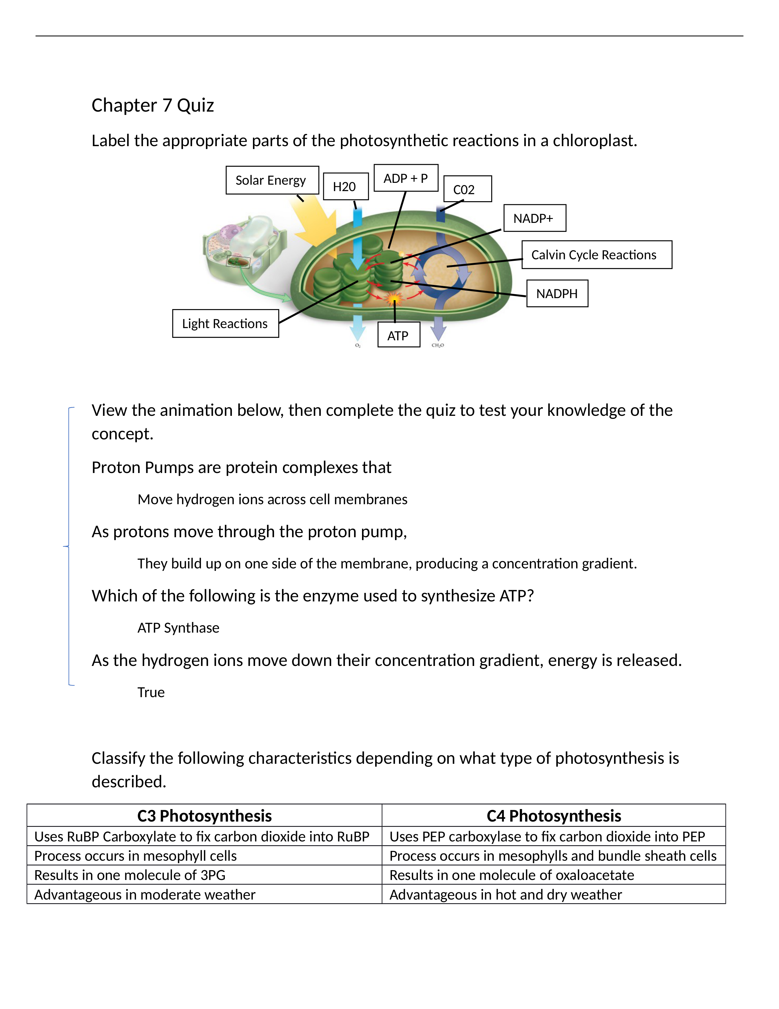 Quiz 7 Answers.docx_dktmqag5xhd_page1