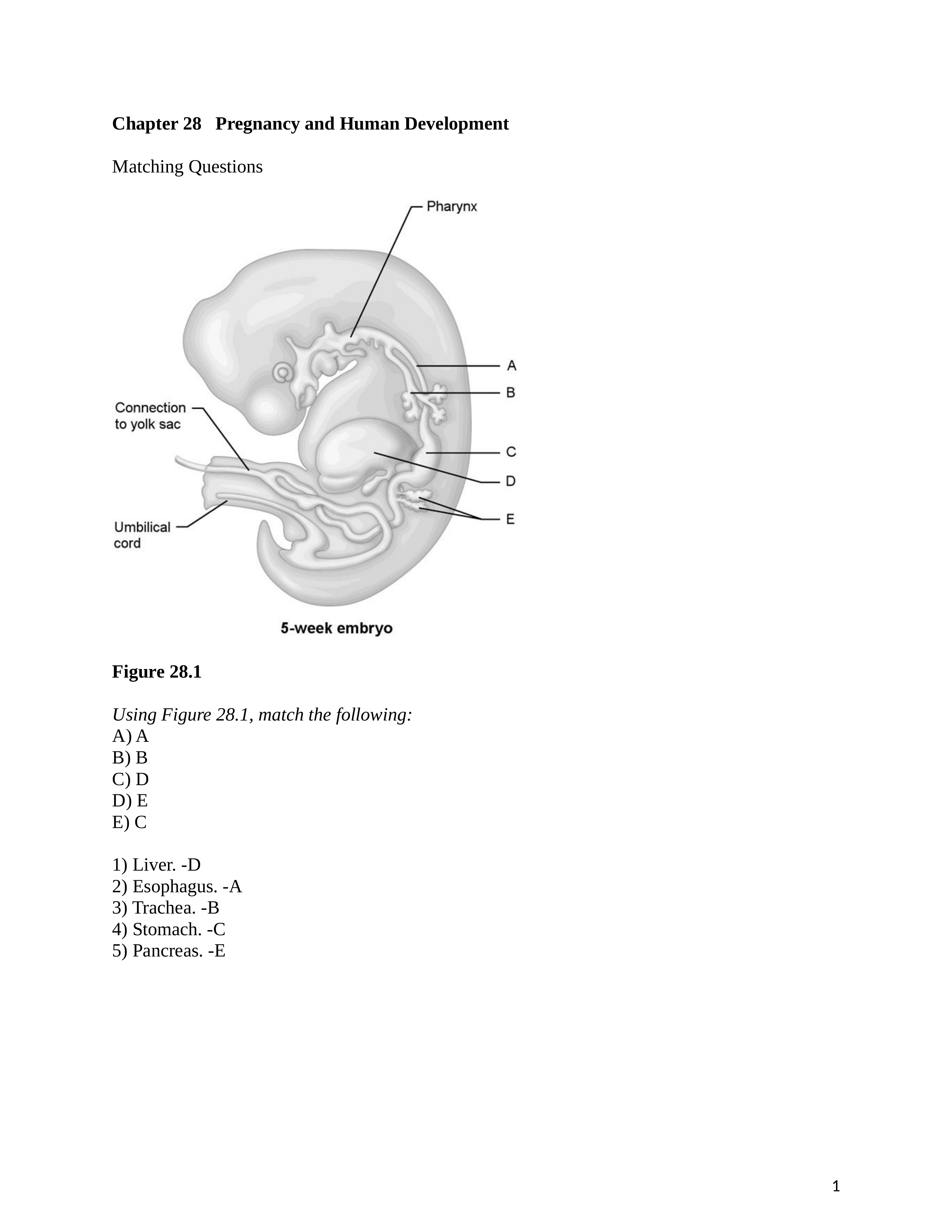 ch_28_worksheet answer.docx_dktrfbjgxxg_page1