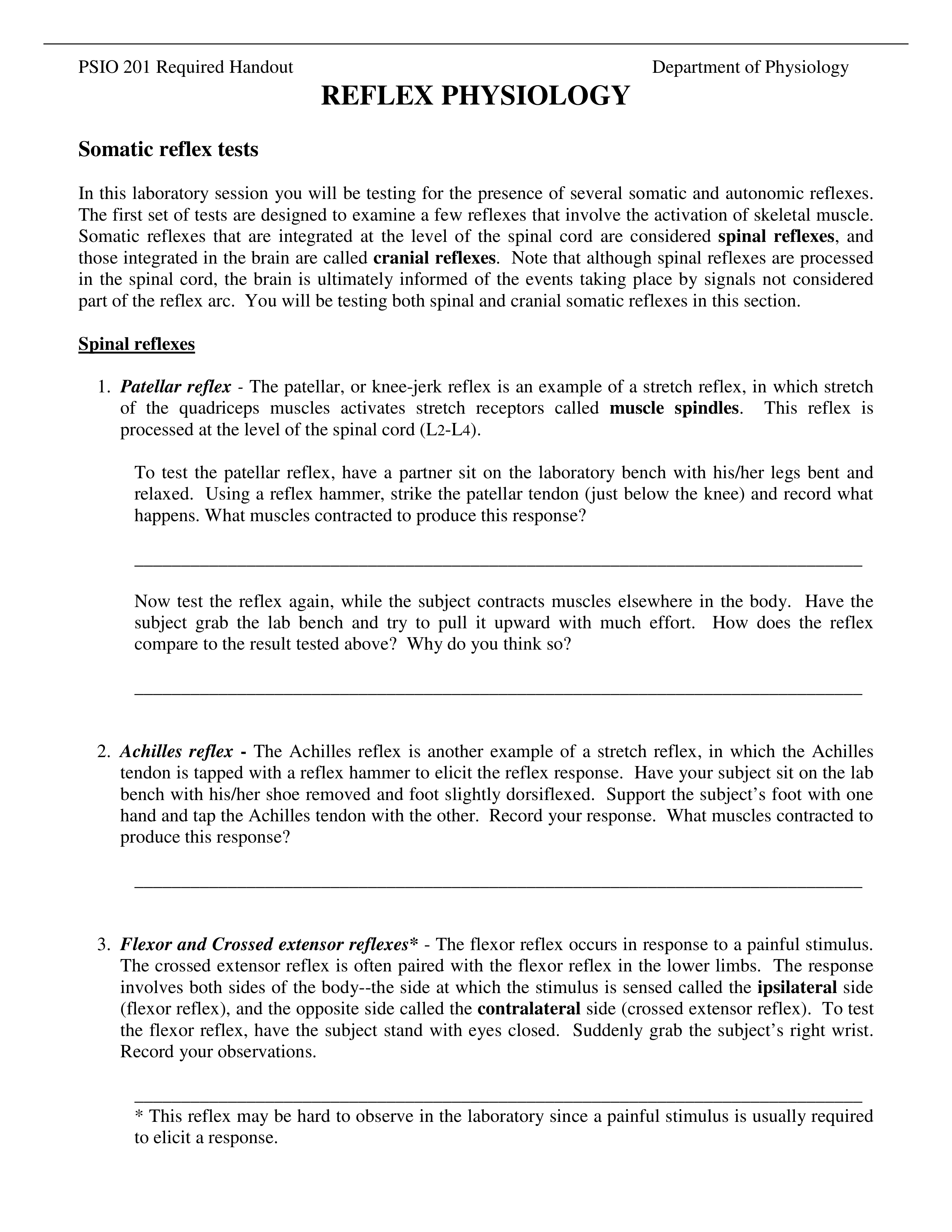 Reflexes and sensations handout_dkucwpu0i0k_page1