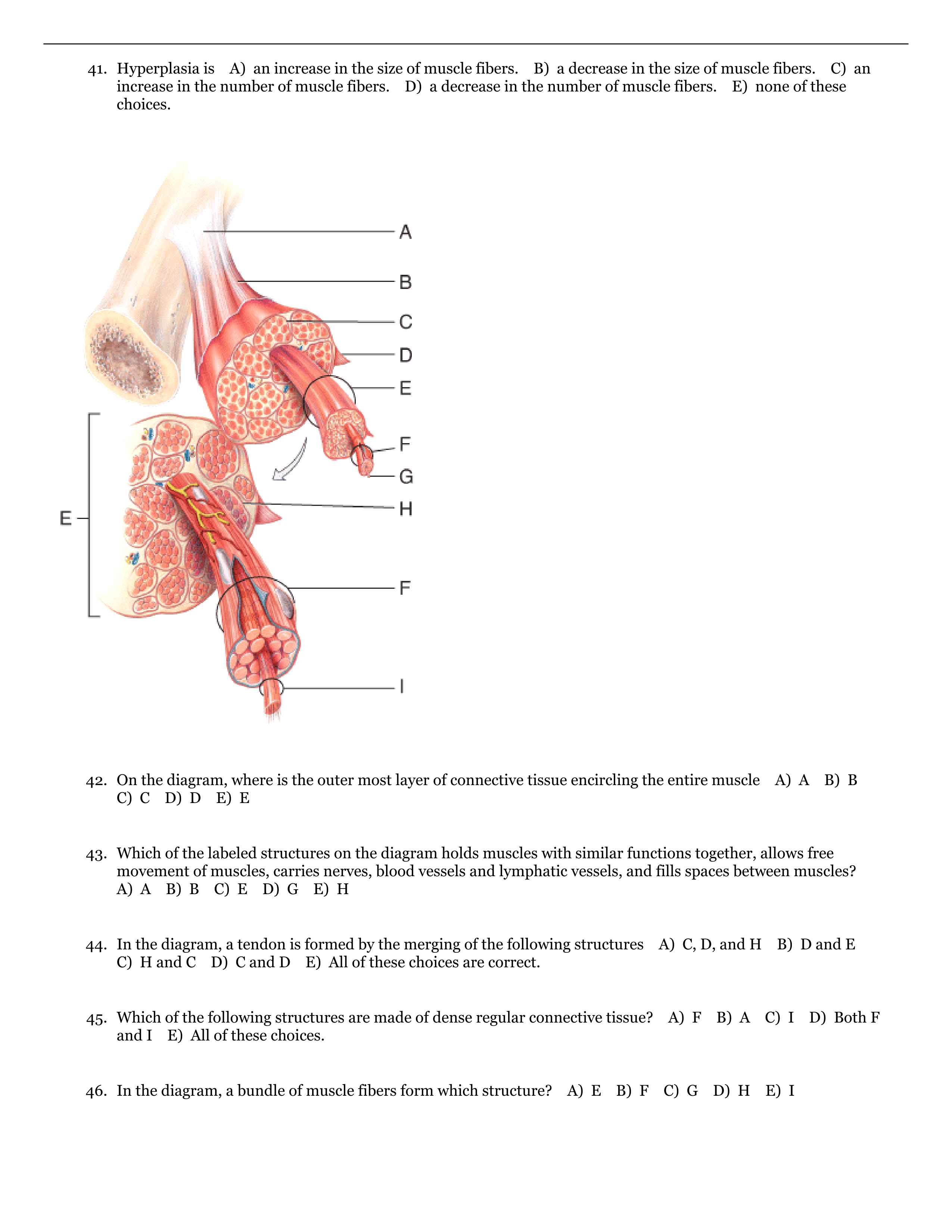 QB Muscle tissue-3_dl7rvdwdf0b_page1