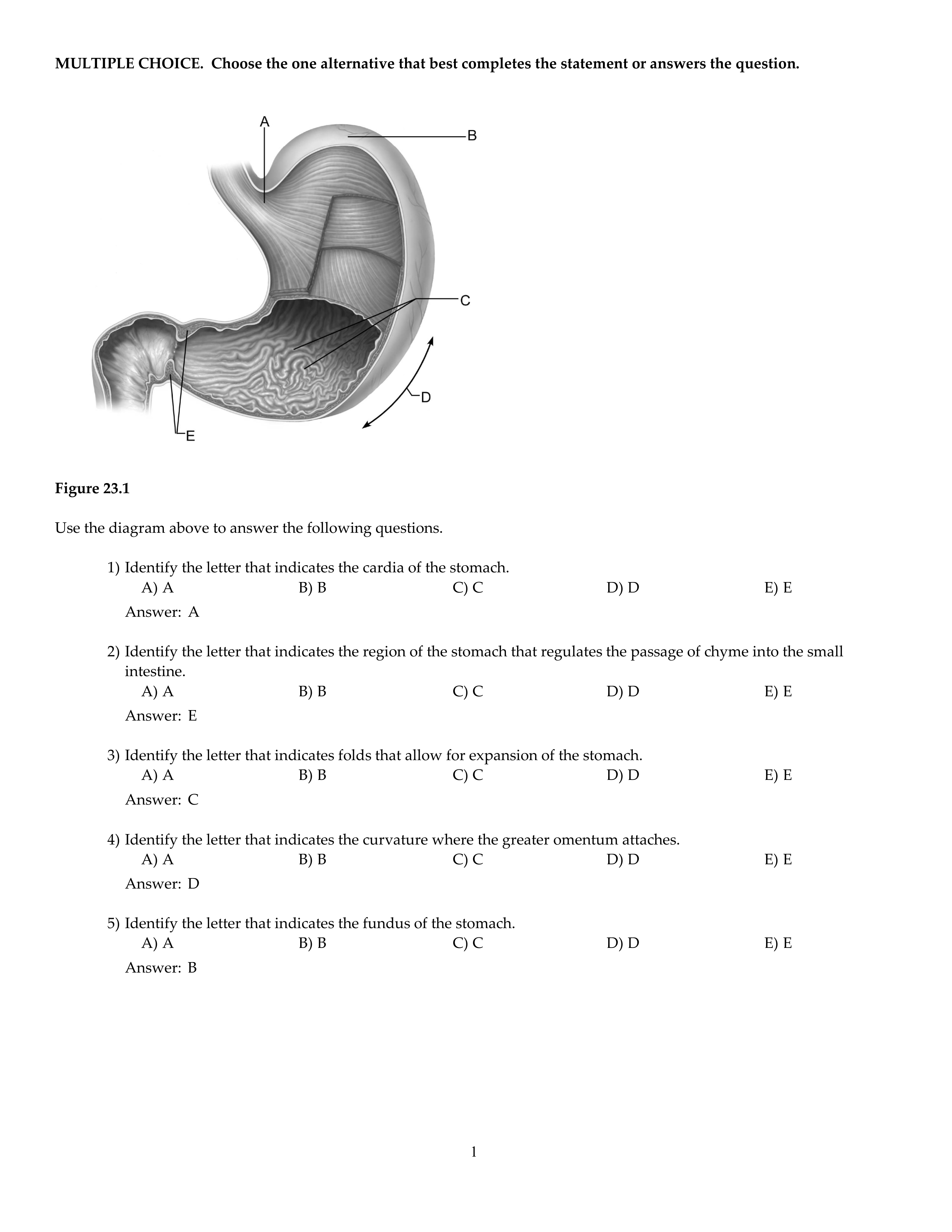 CH23.pdf_dldvpzrbnsh_page1