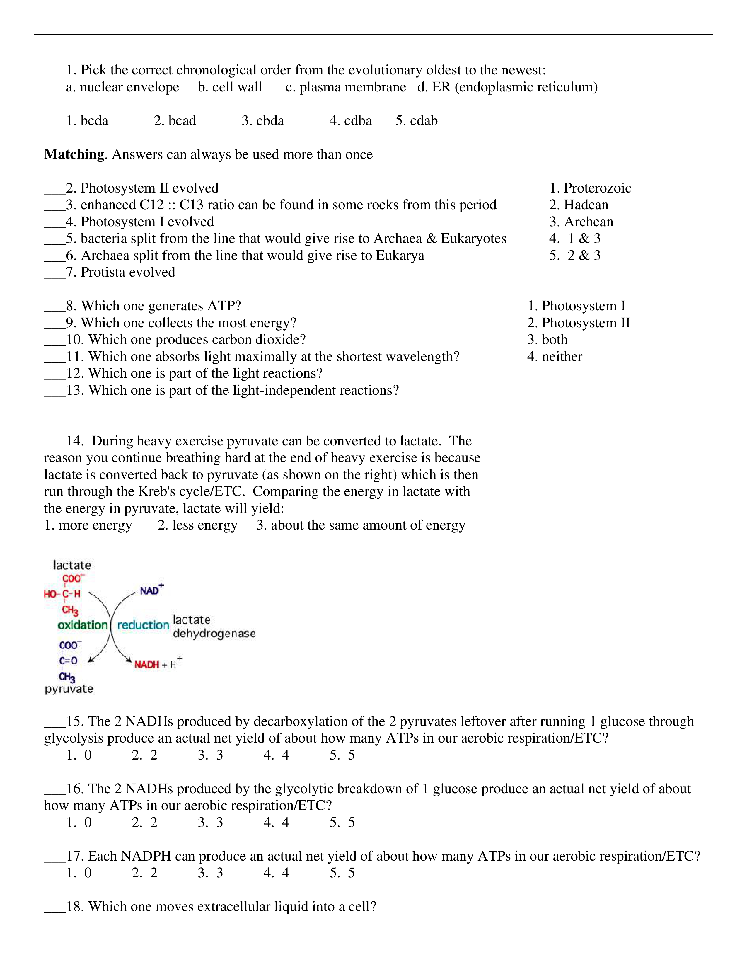 Practice Exam 1_dli2u1szvuw_page1