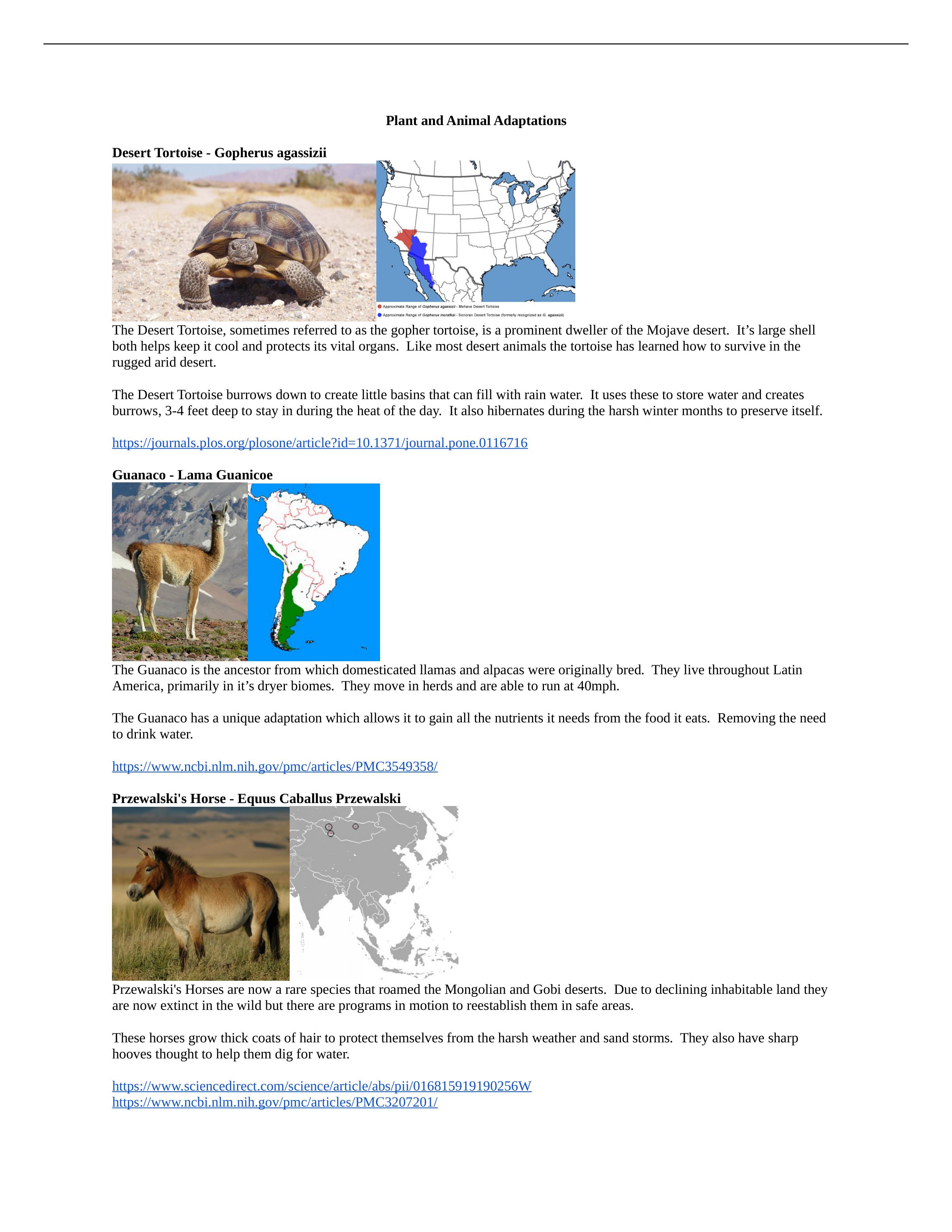 Species_Adaptations_Brochure_dli8o7r7lje_page1