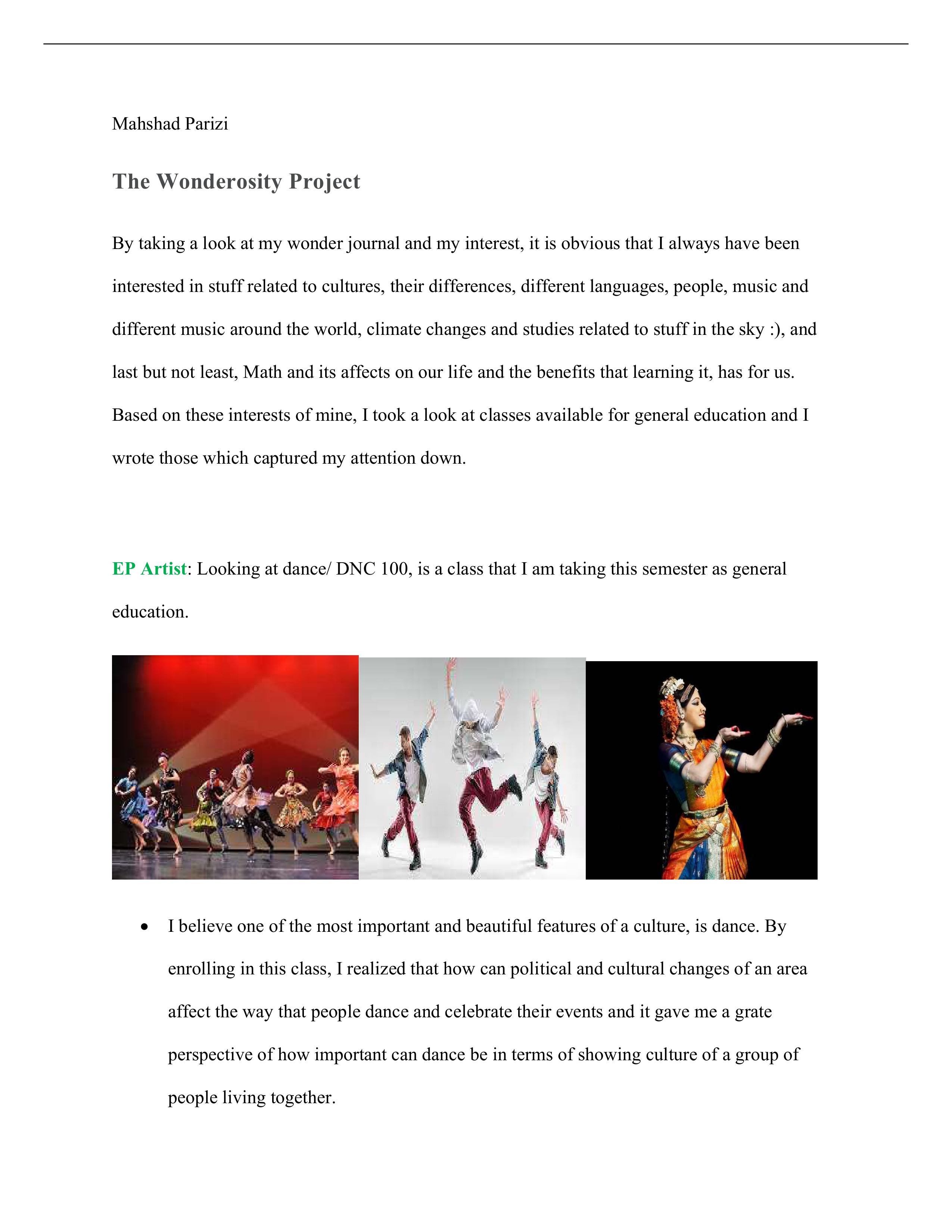 wonderosity project.pdf_dlwvibbrds1_page1