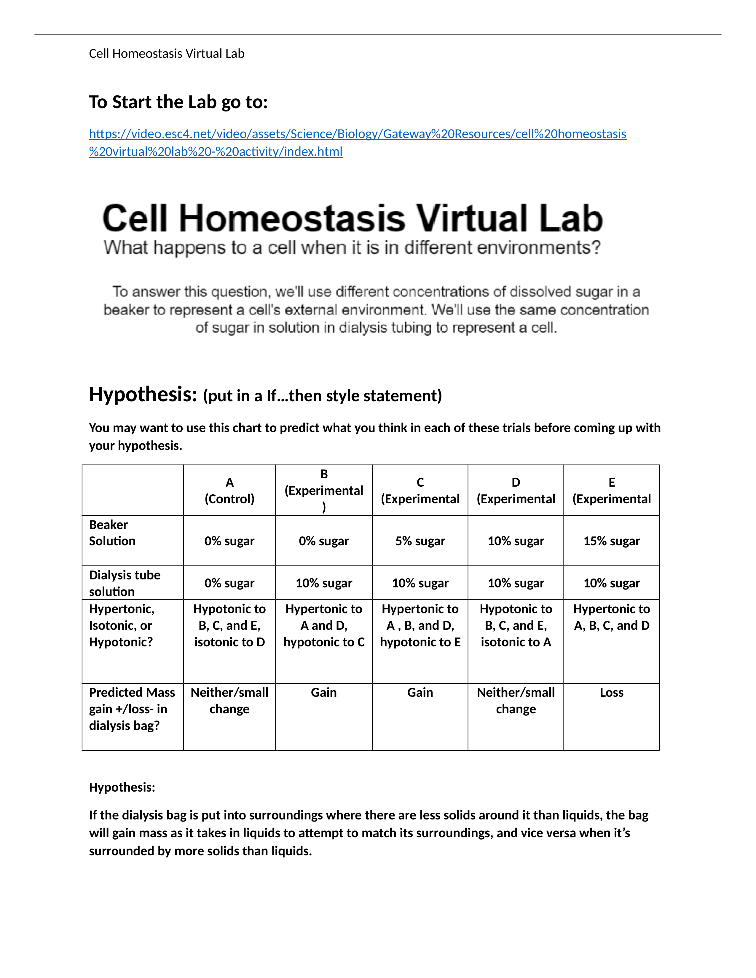 Virtual Osmosis Lab Worksheet.docx_dm6y40283rp_page1