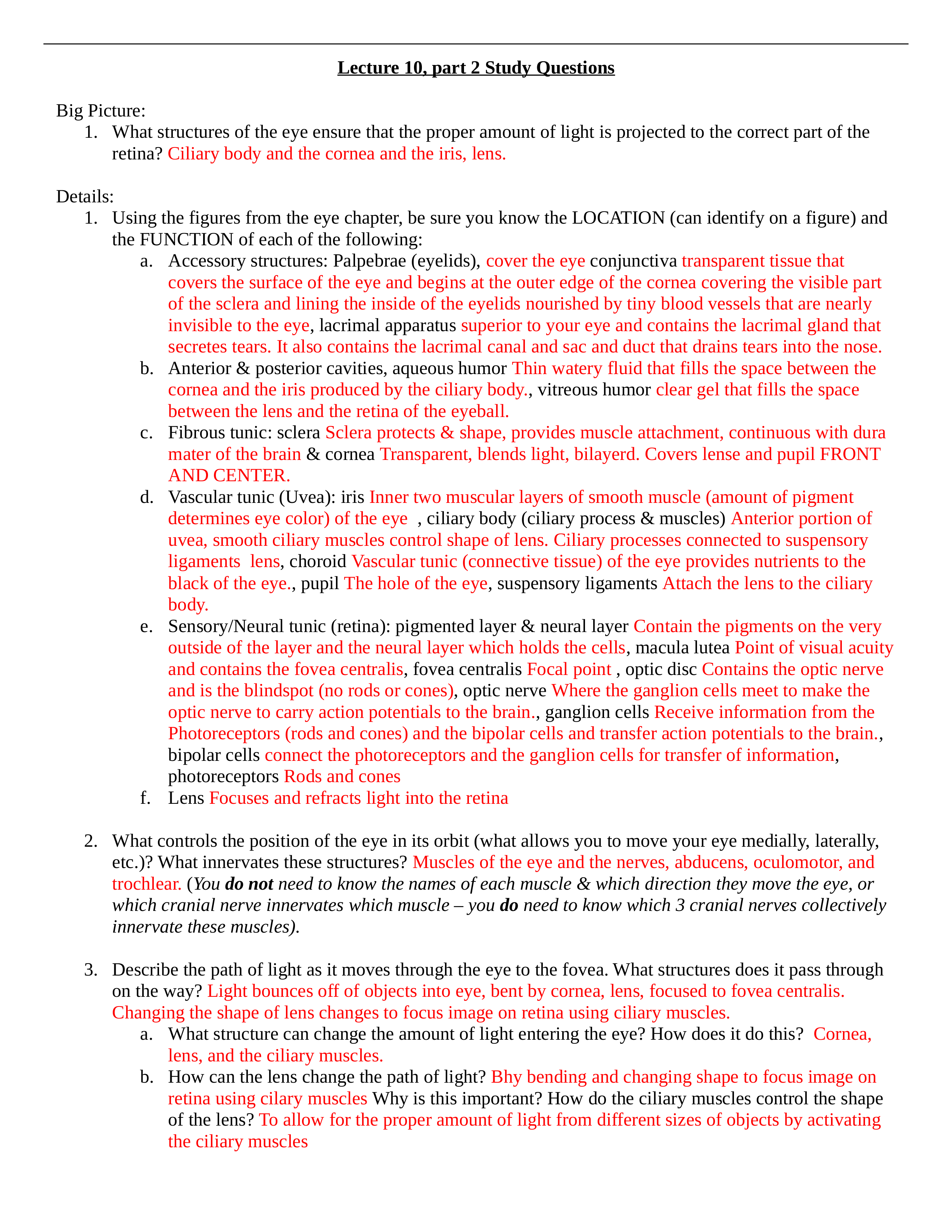 Study Questions 15_dmppcocmkj9_page1