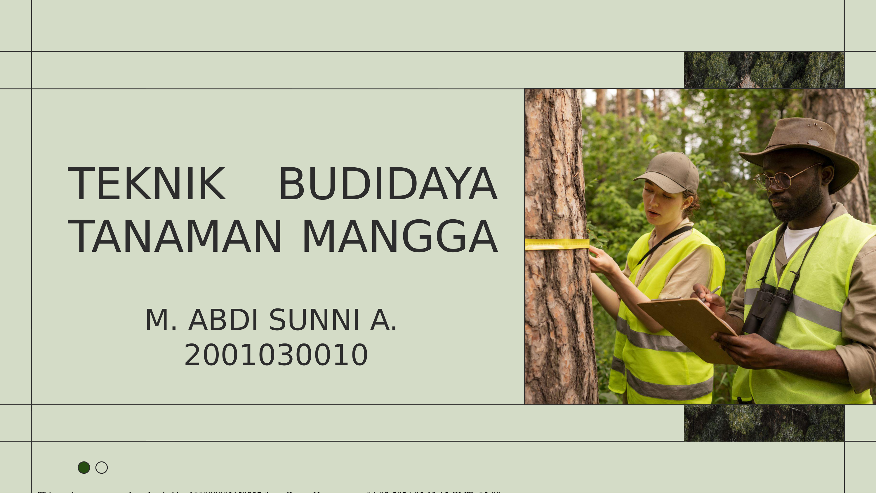 PPT TEKNIK BUDIDAYA MANGGA M.ABDI SUNNI.pptx_dmqc7yii5ue_page1