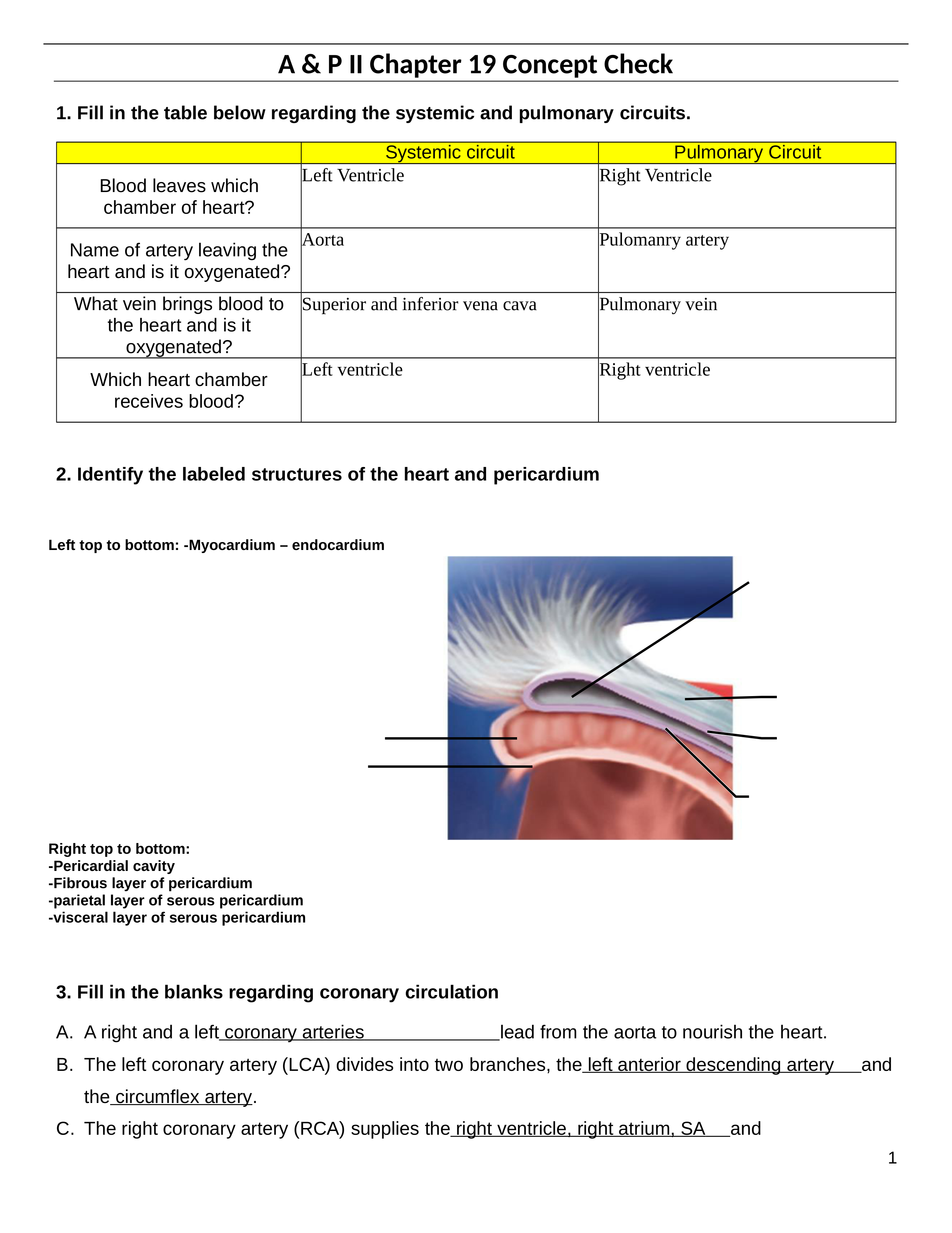 Chapter 19 Concept Check.docx_dmu3cz36kvh_page1