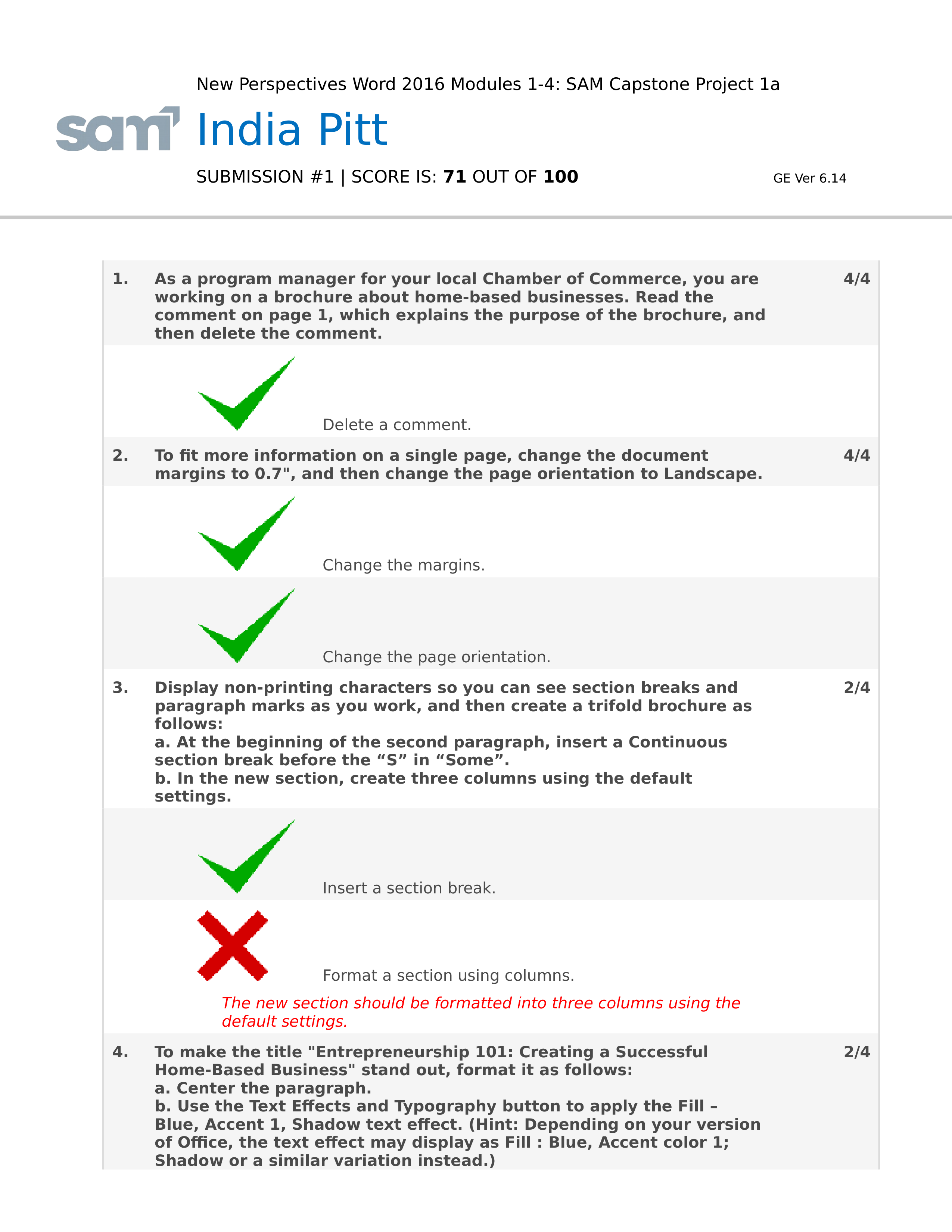 NP_WD16_CS1-4a_IndiaPitt_Report_1.docx_dmws3sgdxmd_page1