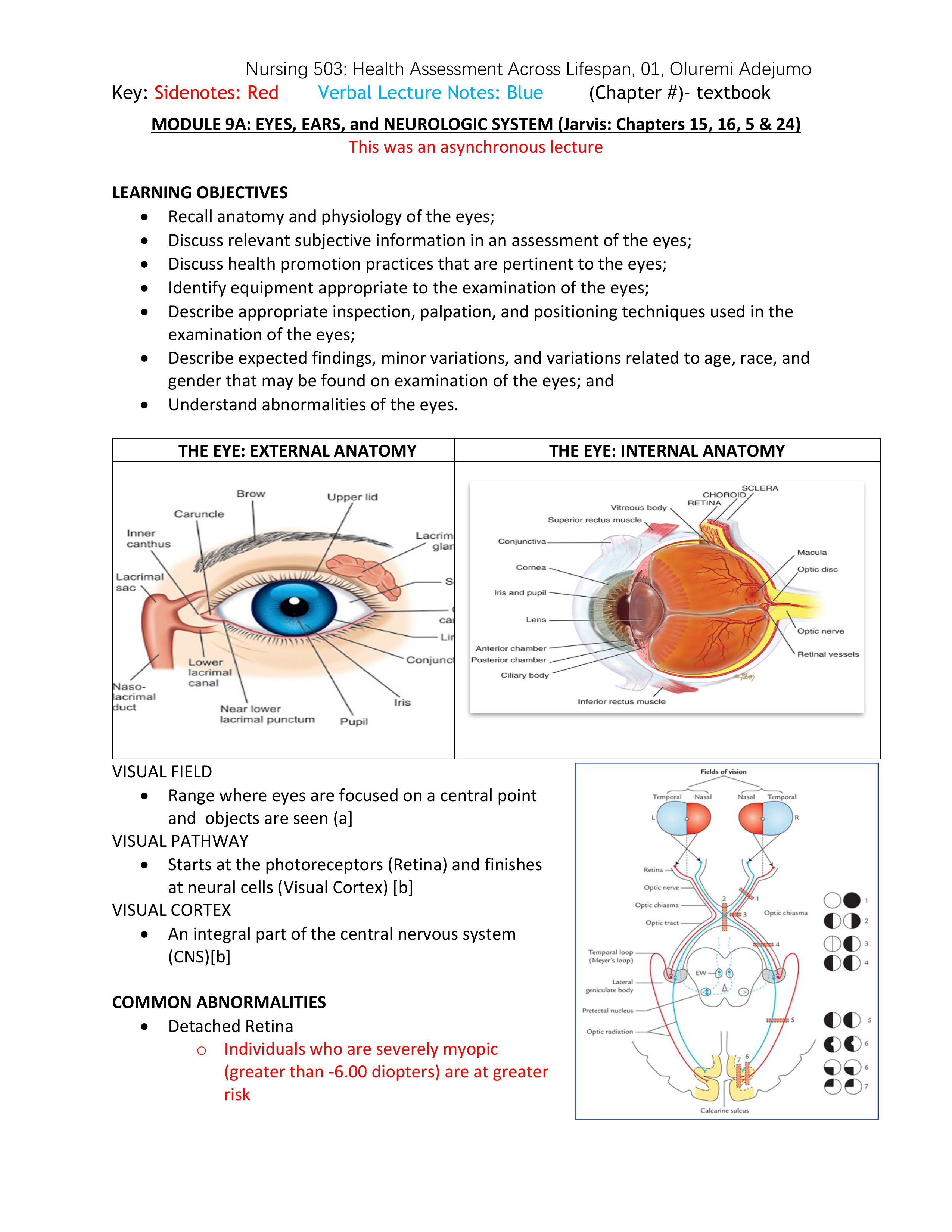 Module 9 Notes.pdf_dmxtazm7966_page1