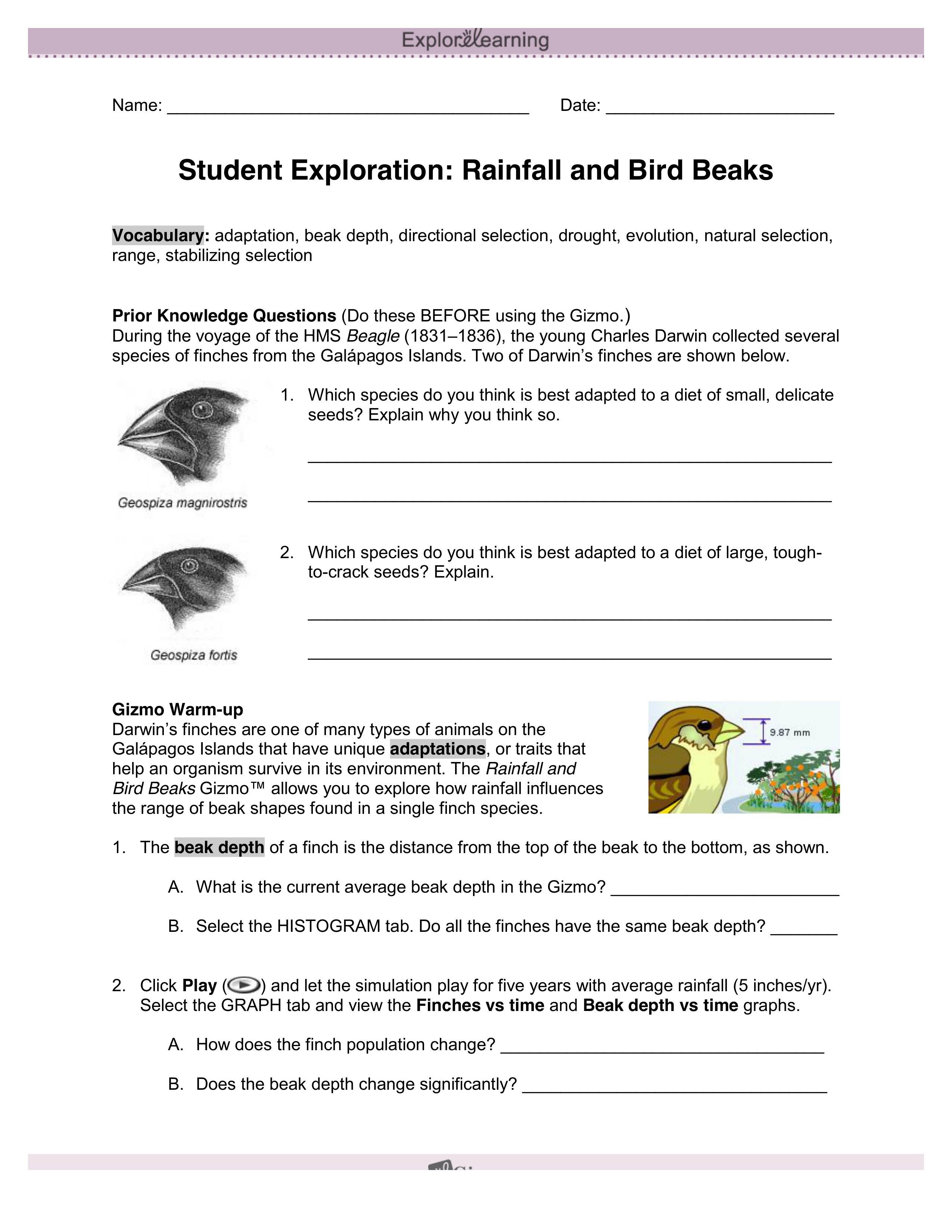 Gizmo-Rainfall and Bird Beaks.pdf_dmyiisziaw0_page1