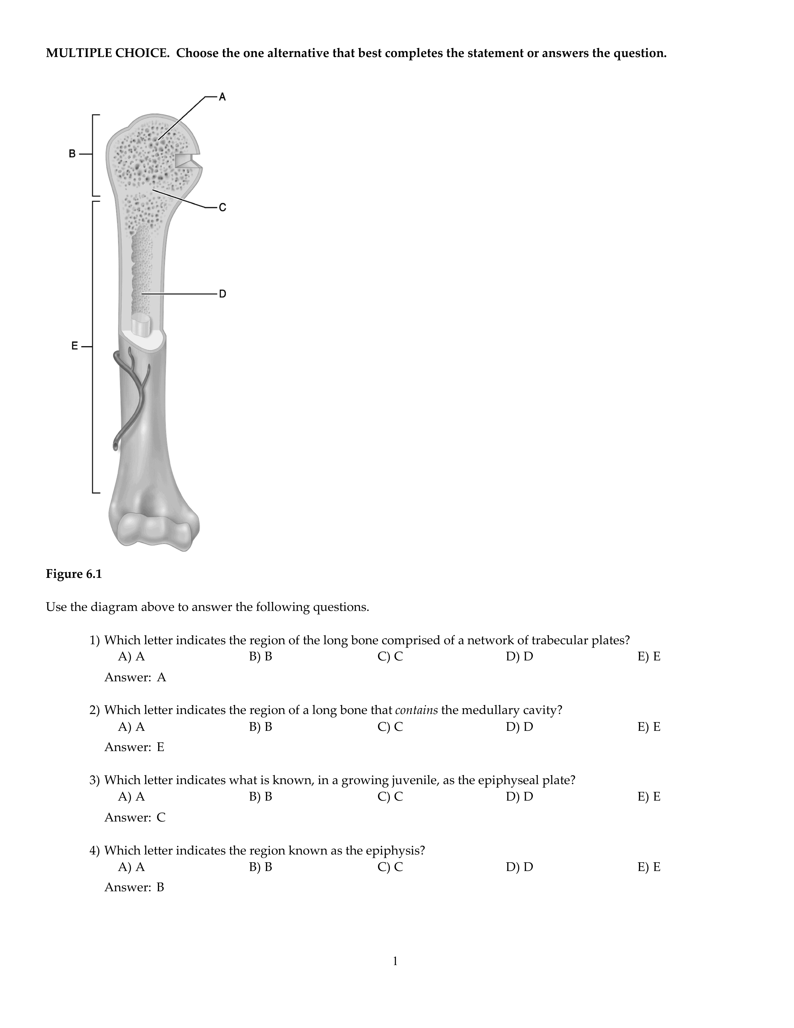 CH06.pdf_dn893scfezm_page1