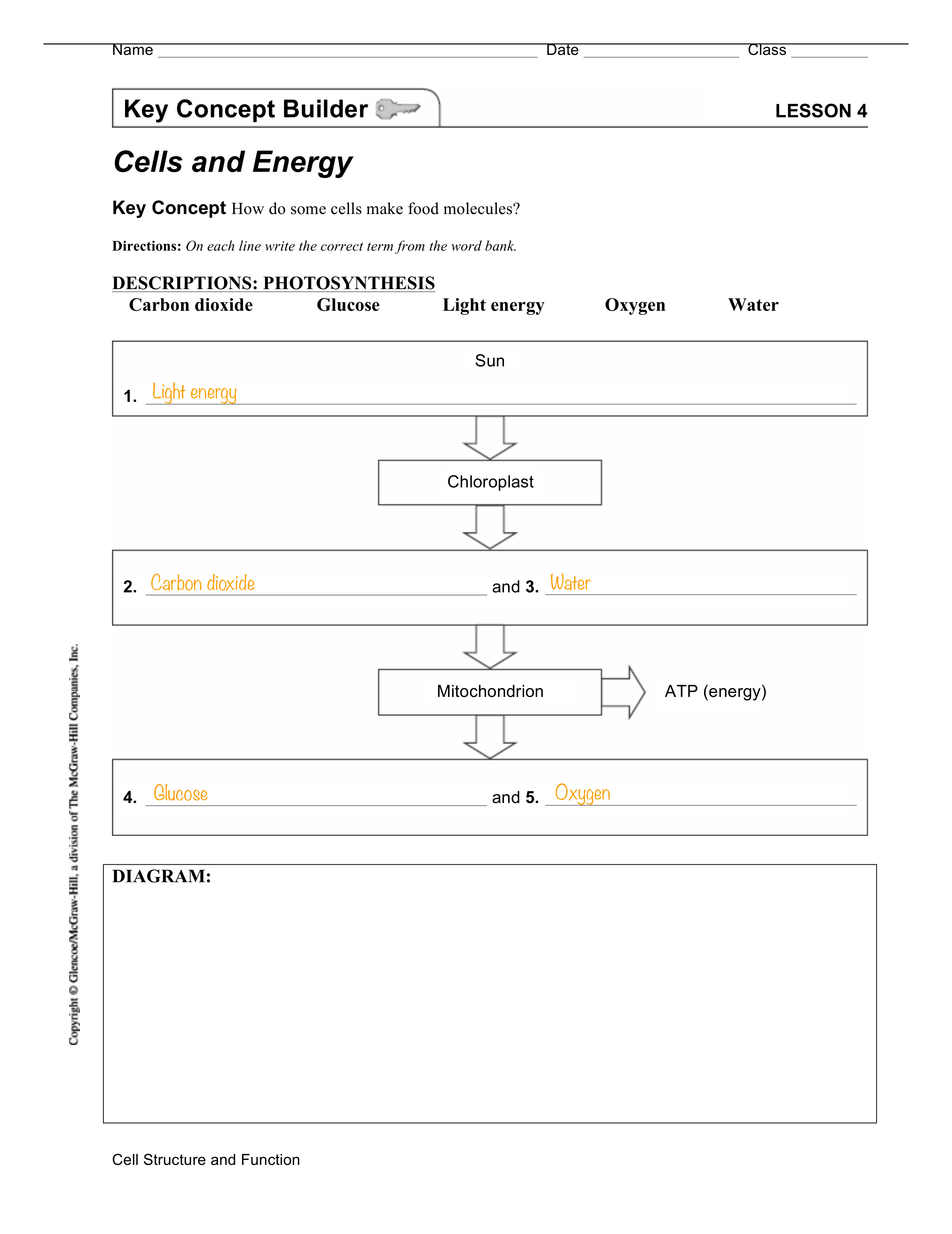 Cells and Energy STUDENT NOTE.pdf_dn97hkirmil_page1