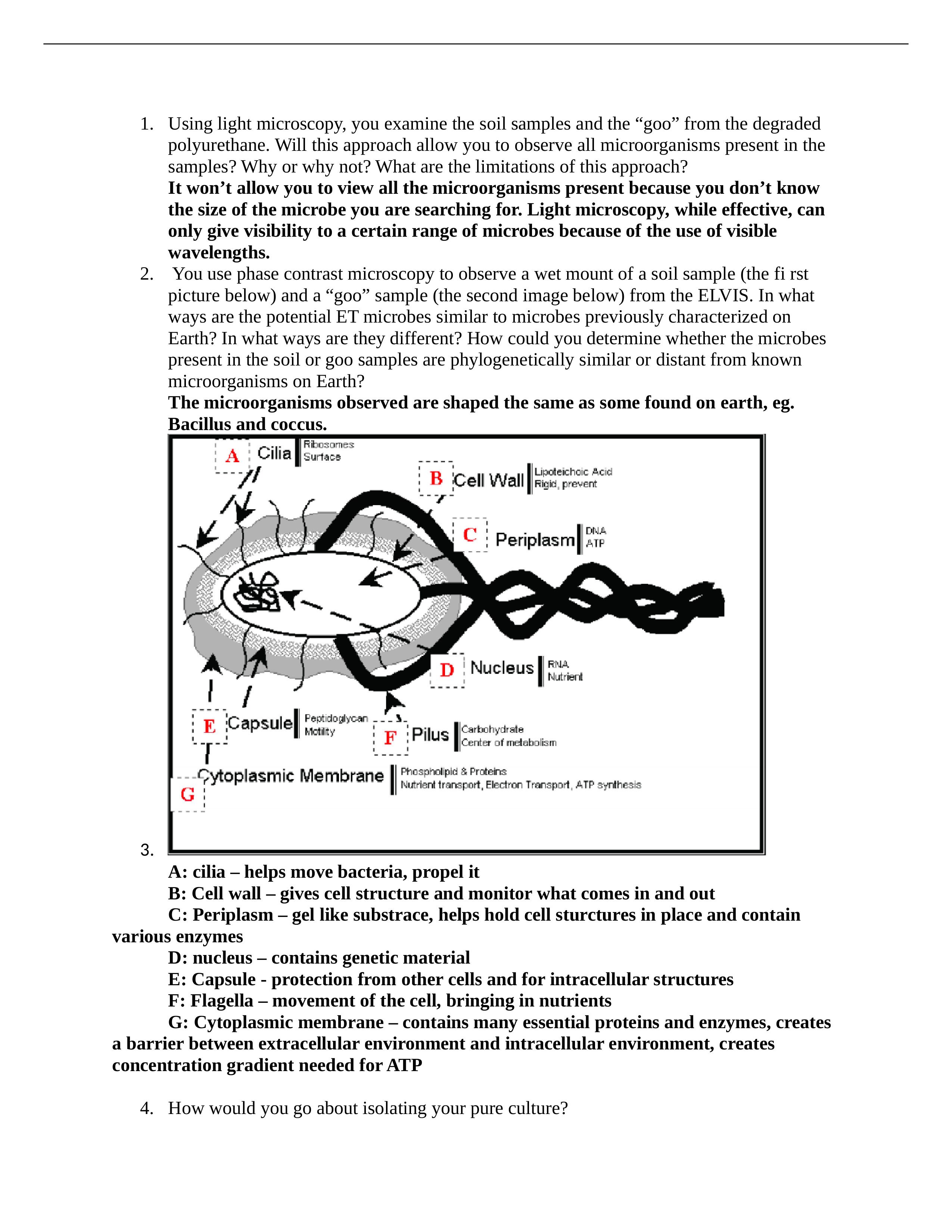 ELVIS case study.docx_dngueiwknf6_page1