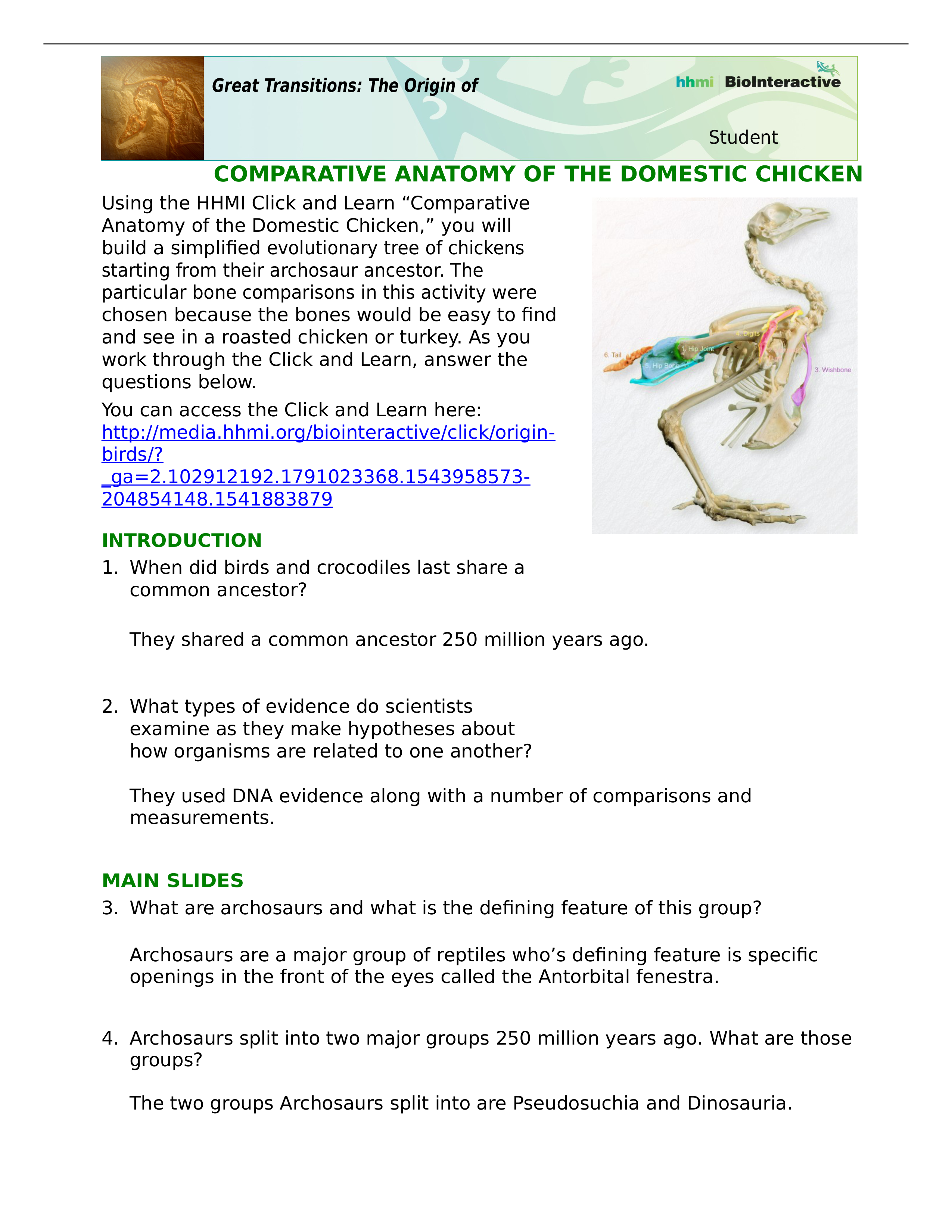 Lab 8 Comparative Anatomy of a Chicken Worksheet.docx_dnhcrmv5ni5_page1