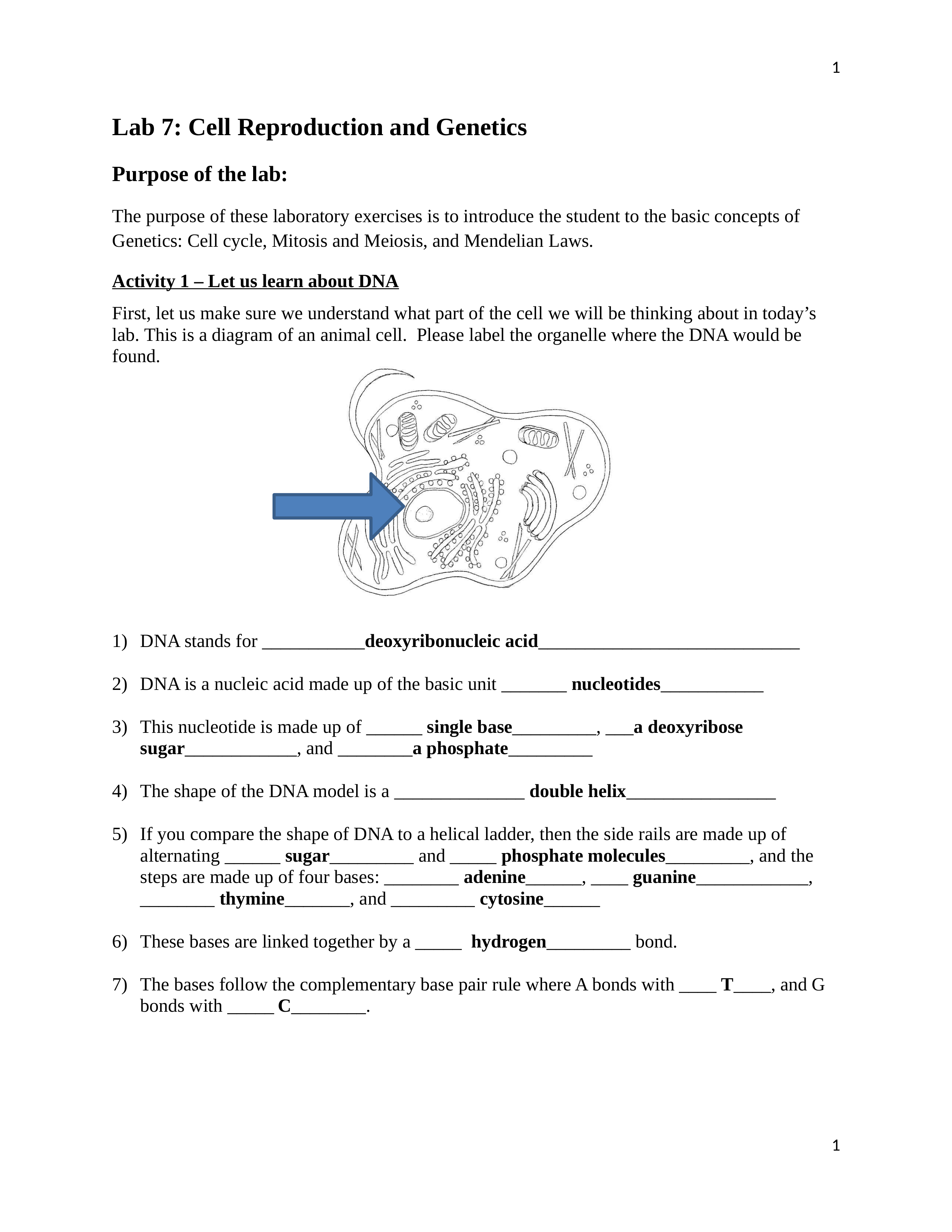 Lab 7 Cell Reproduction and Genetics BIO 1010.docx_dnmug1bcxpk_page1