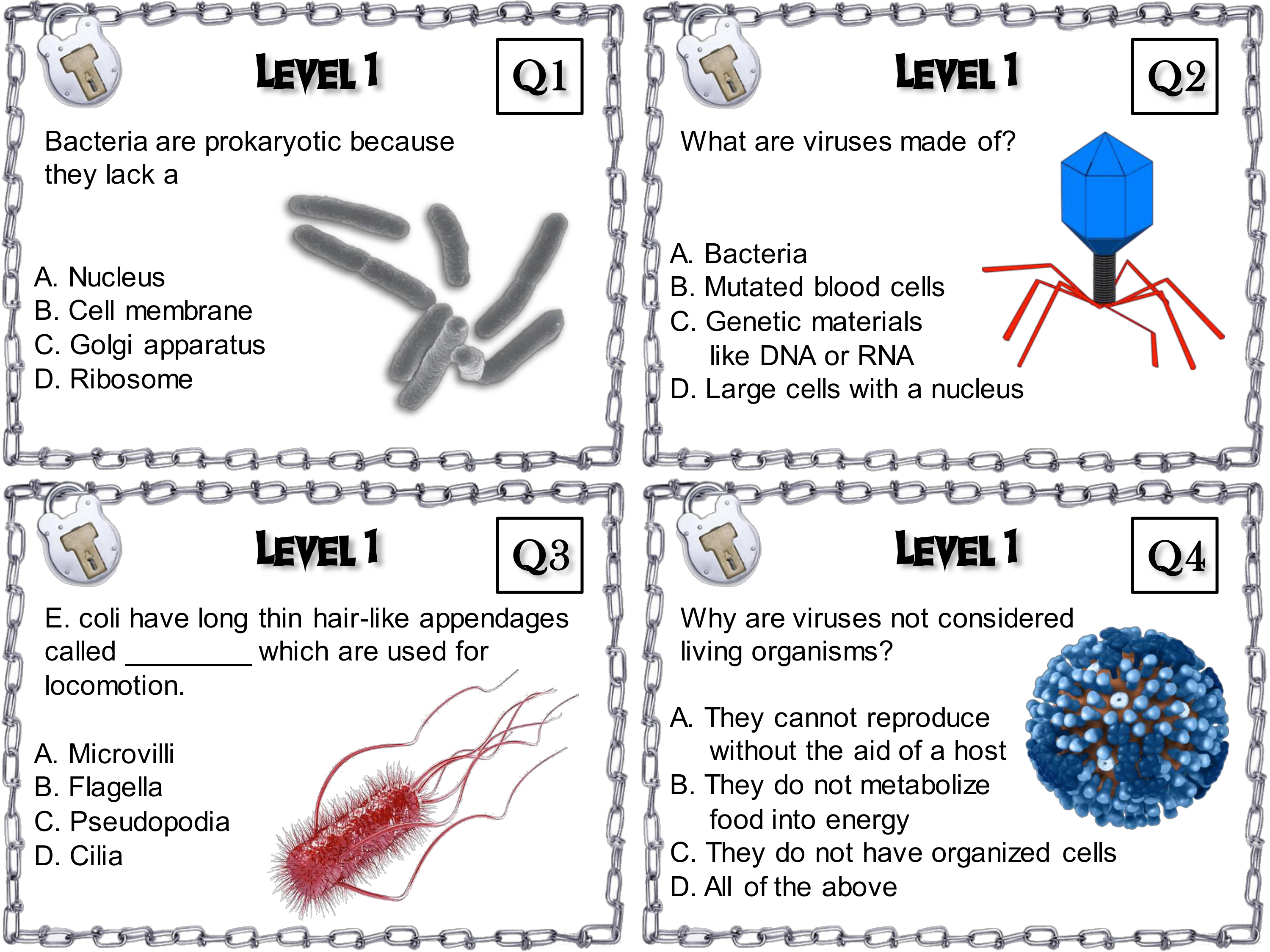 13 - Student Microbiology Escape Room Bacteria and Viruses Activity.pdf_dnq4qgm61vw_page1