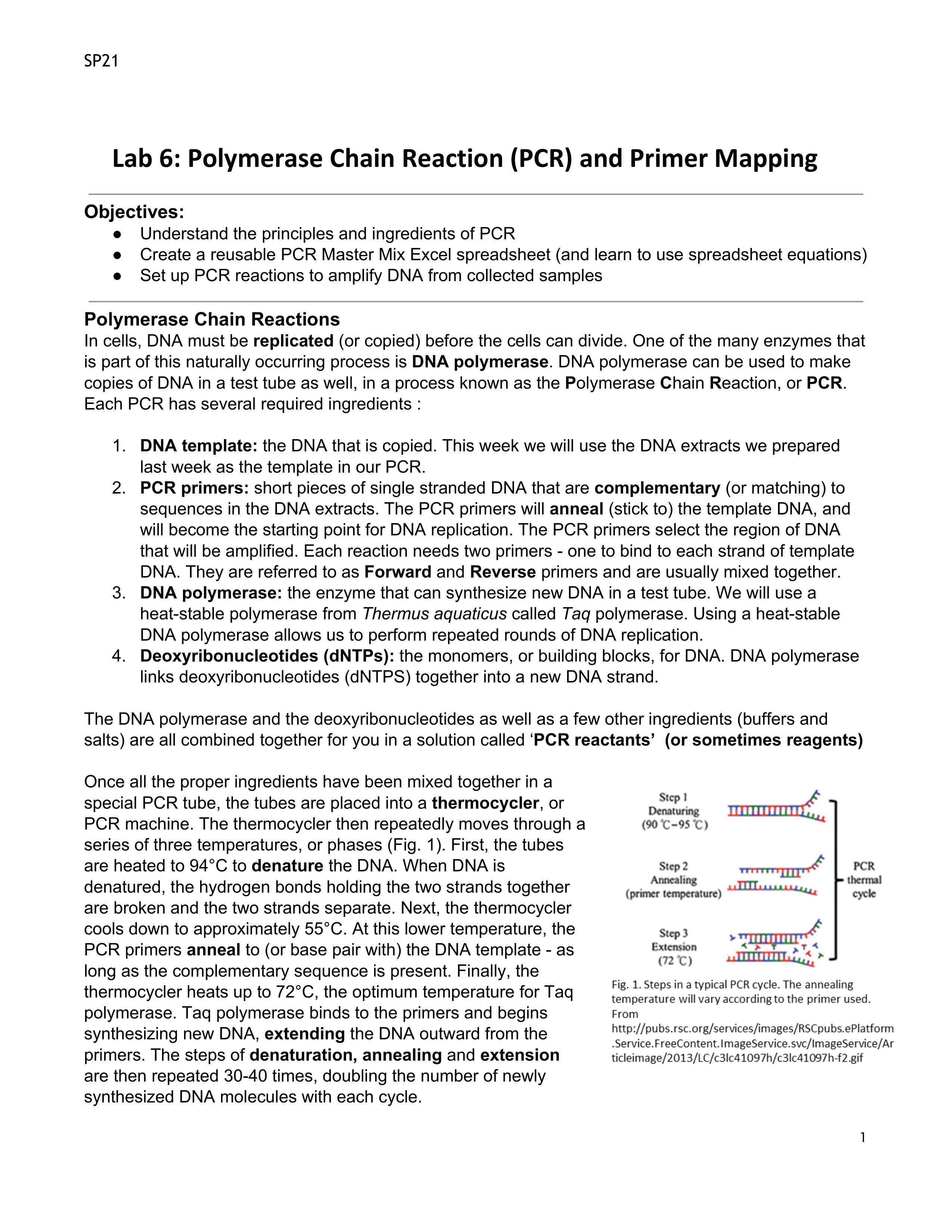 PRINT & READ ME WK. 6 - PCR and Primer Mapping - SP21.pdf_dnrfyfzdhgz_page1